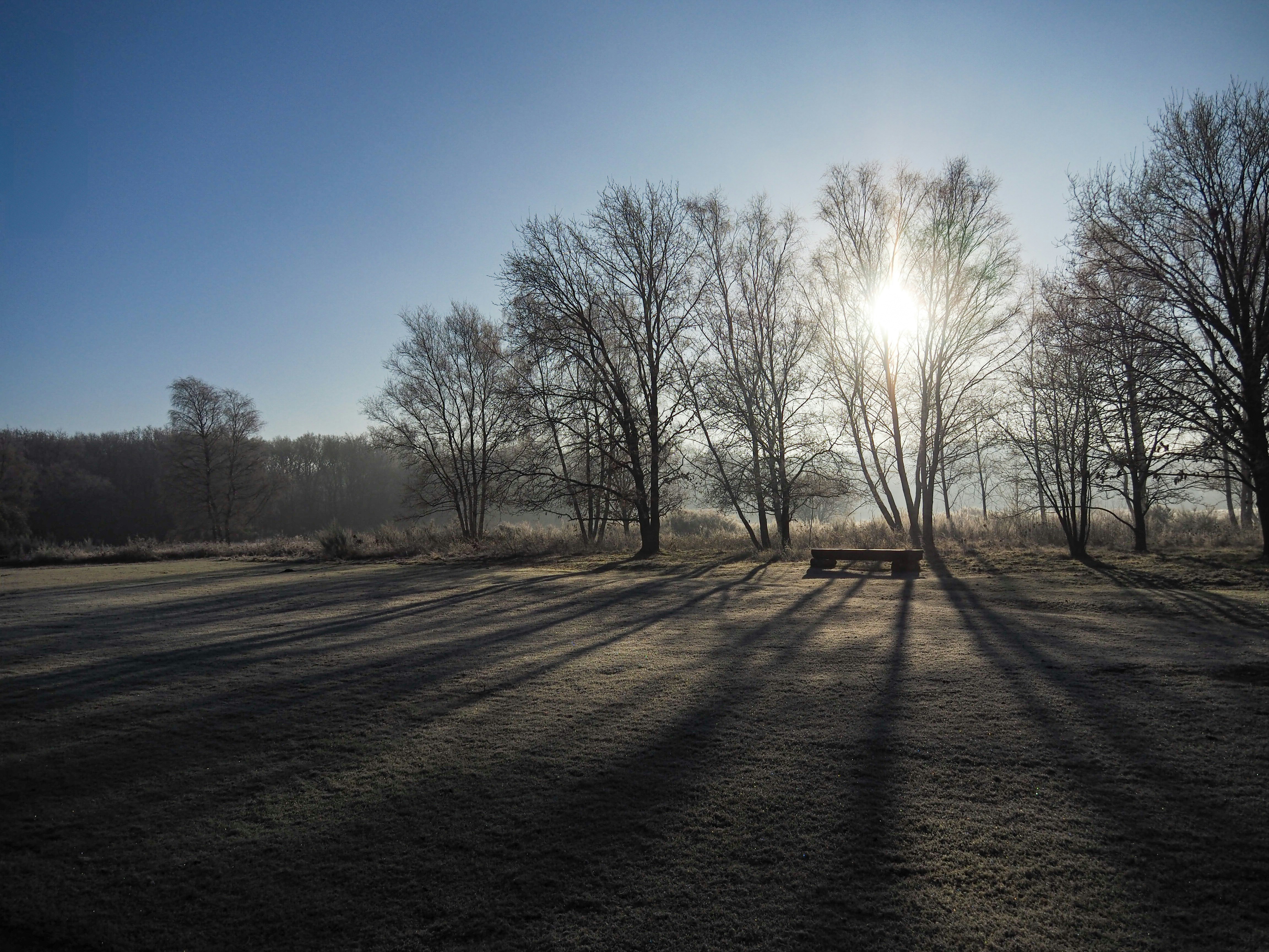 Photo by davidgeneugelijk