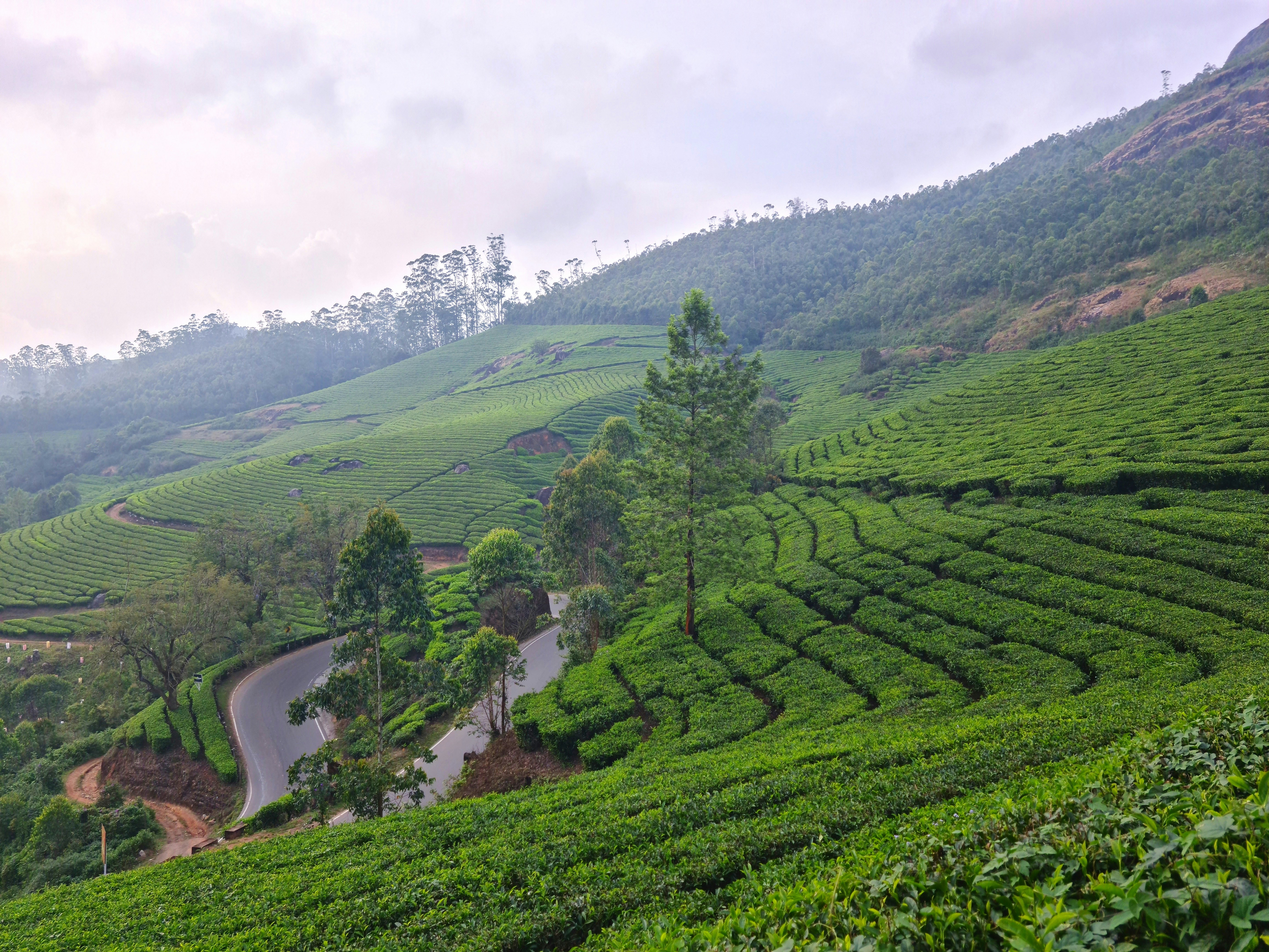 Photo by mayur_deshpande