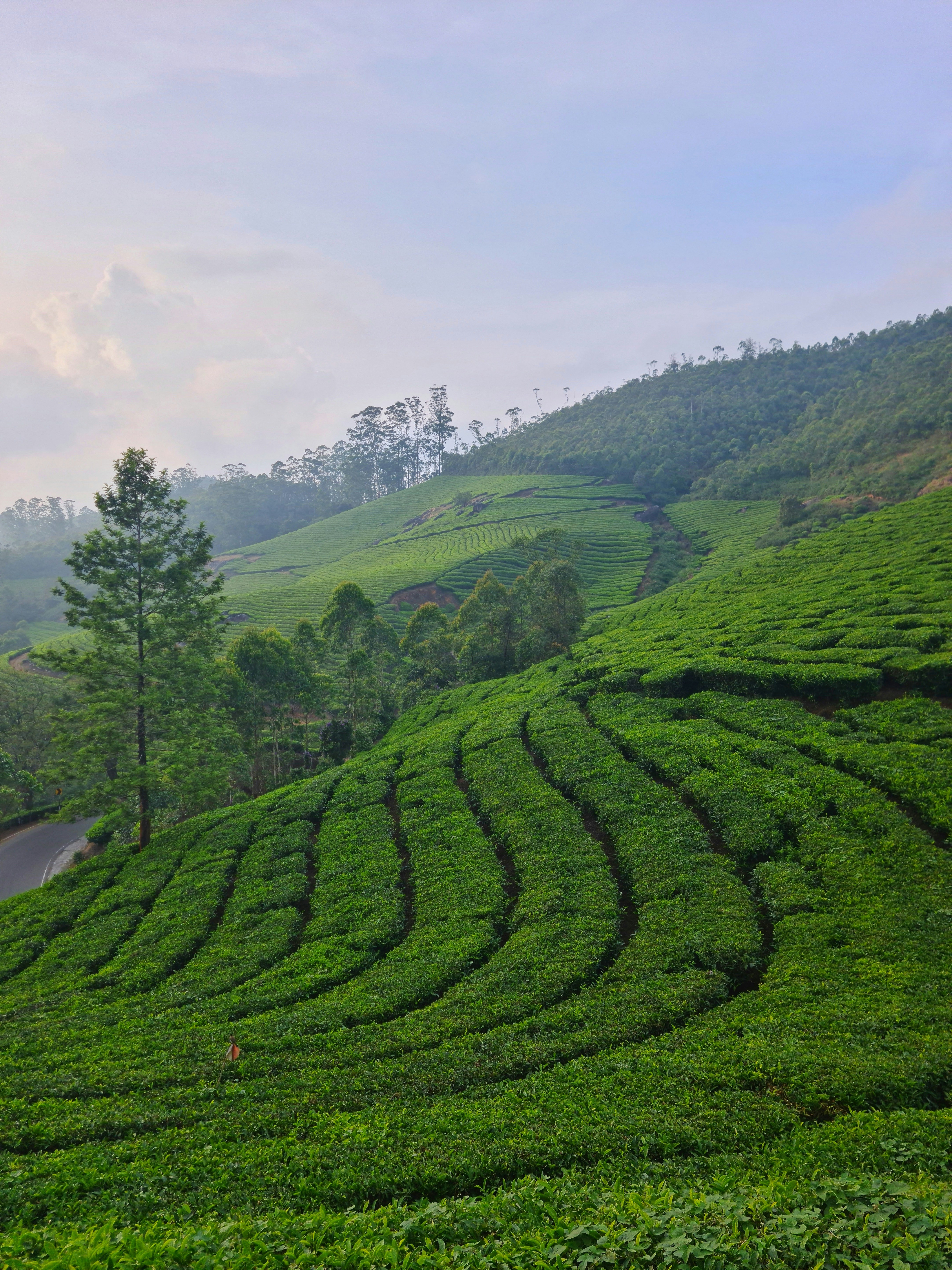 Photo by mayur_deshpande