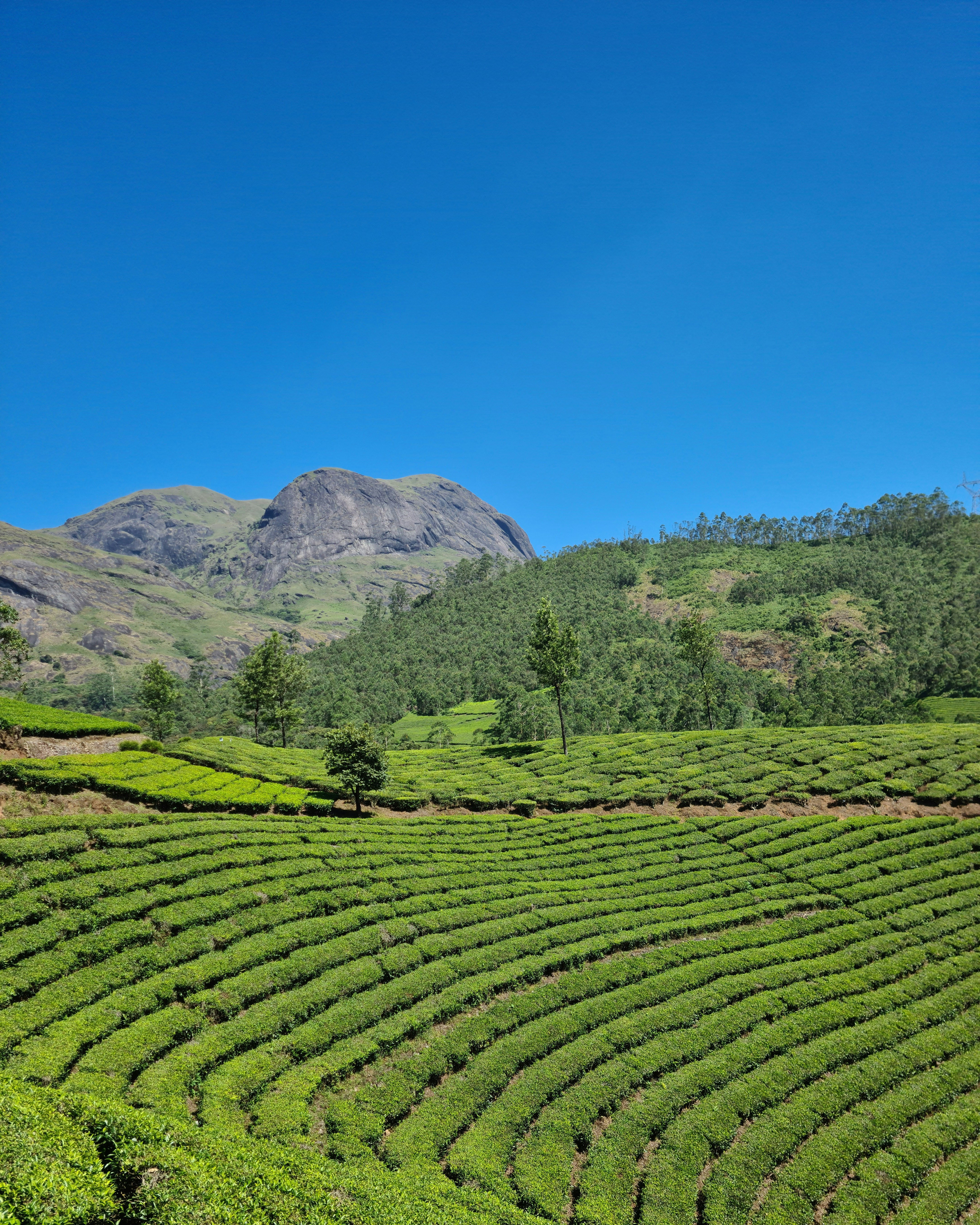 Photo by mayur_deshpande