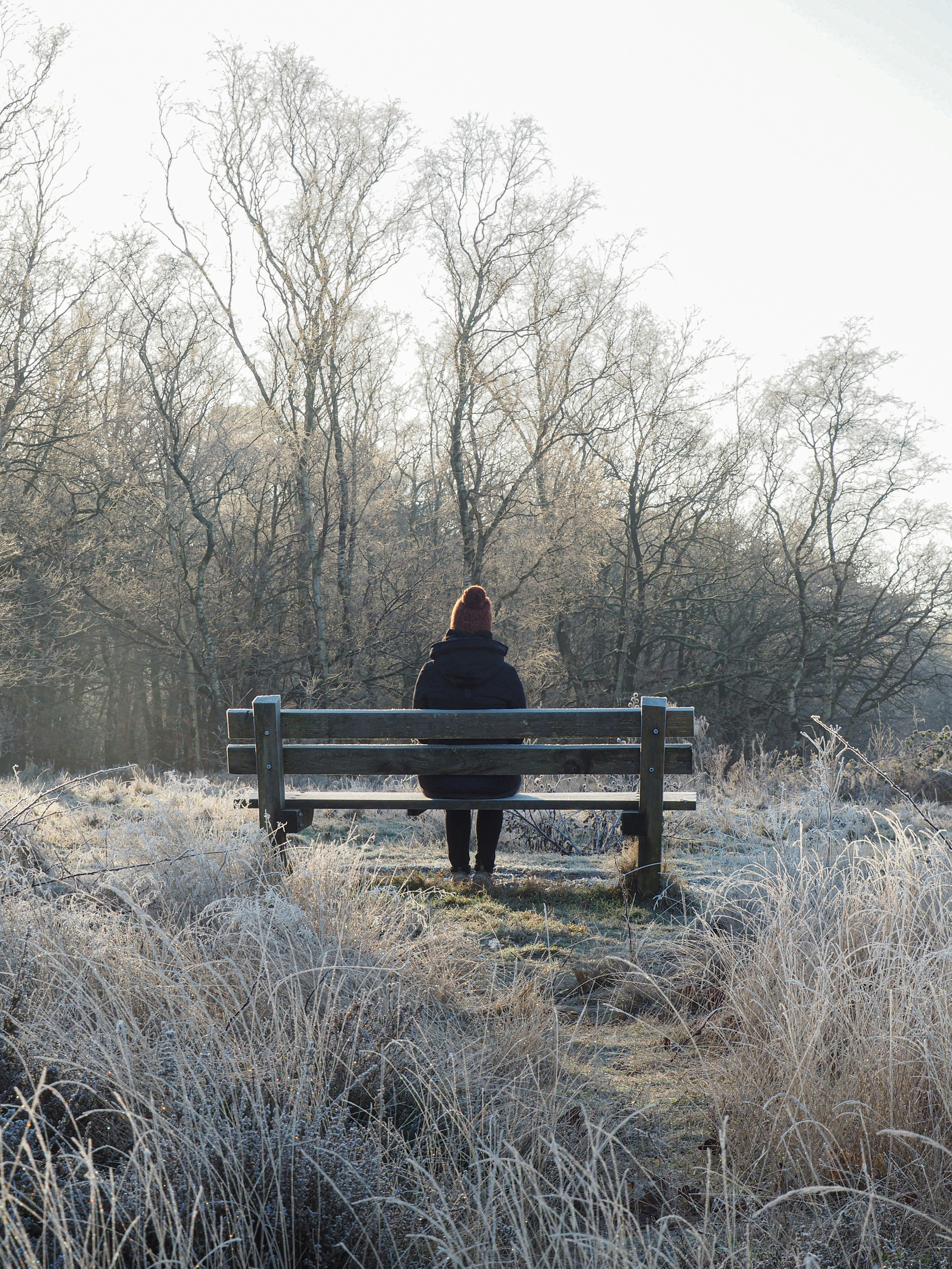 A person sitting on a bench in a field