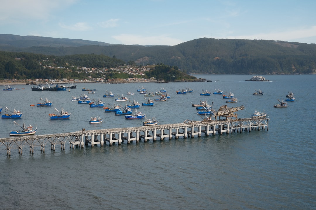 Operaciones portuarias OPB Logistics