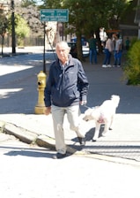 A man walking a white dog down a street