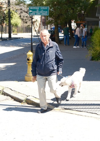 A man walking a white dog down a street