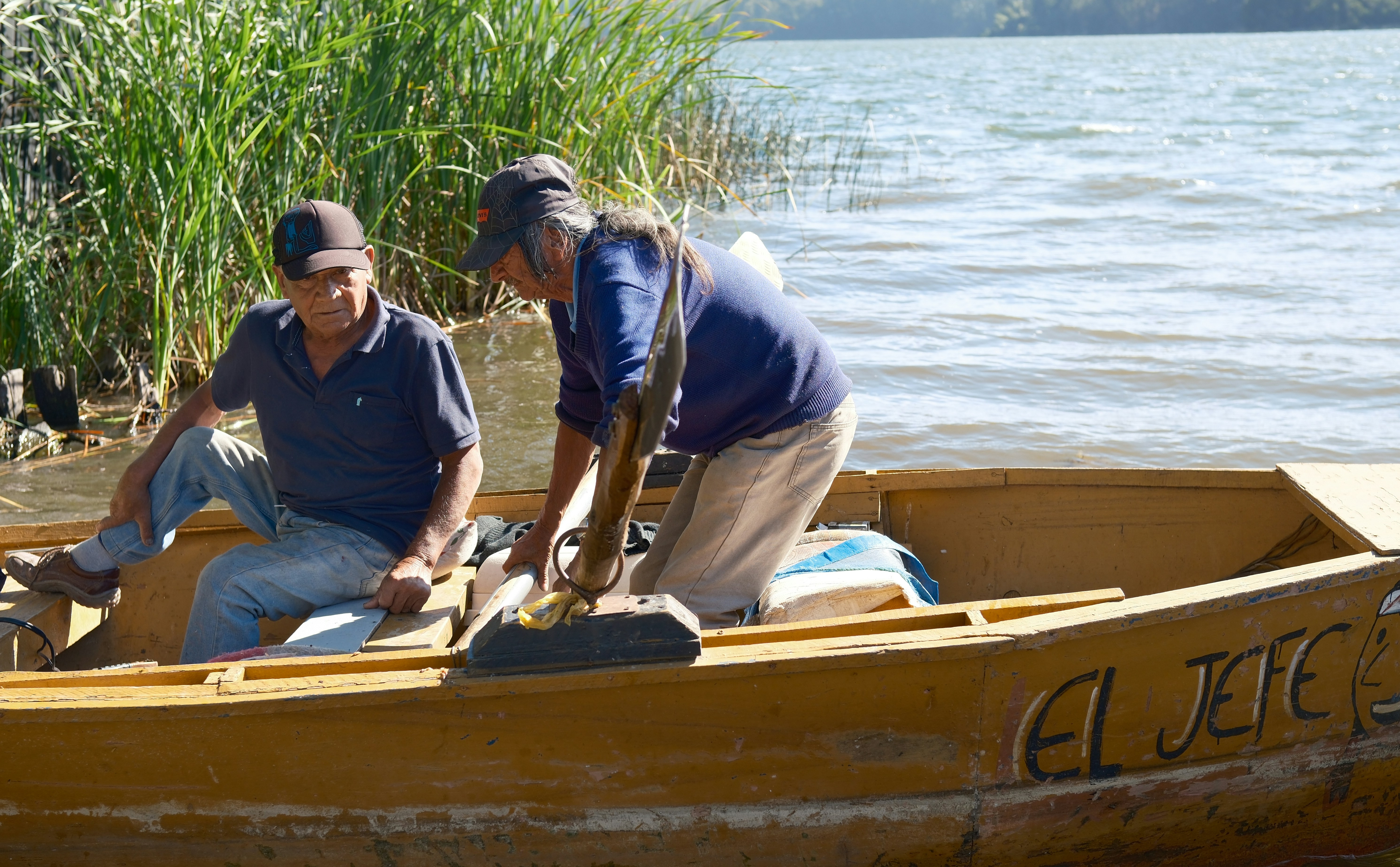Community Warriors: Volunteers on the Front Lines (image credits: unsplash)