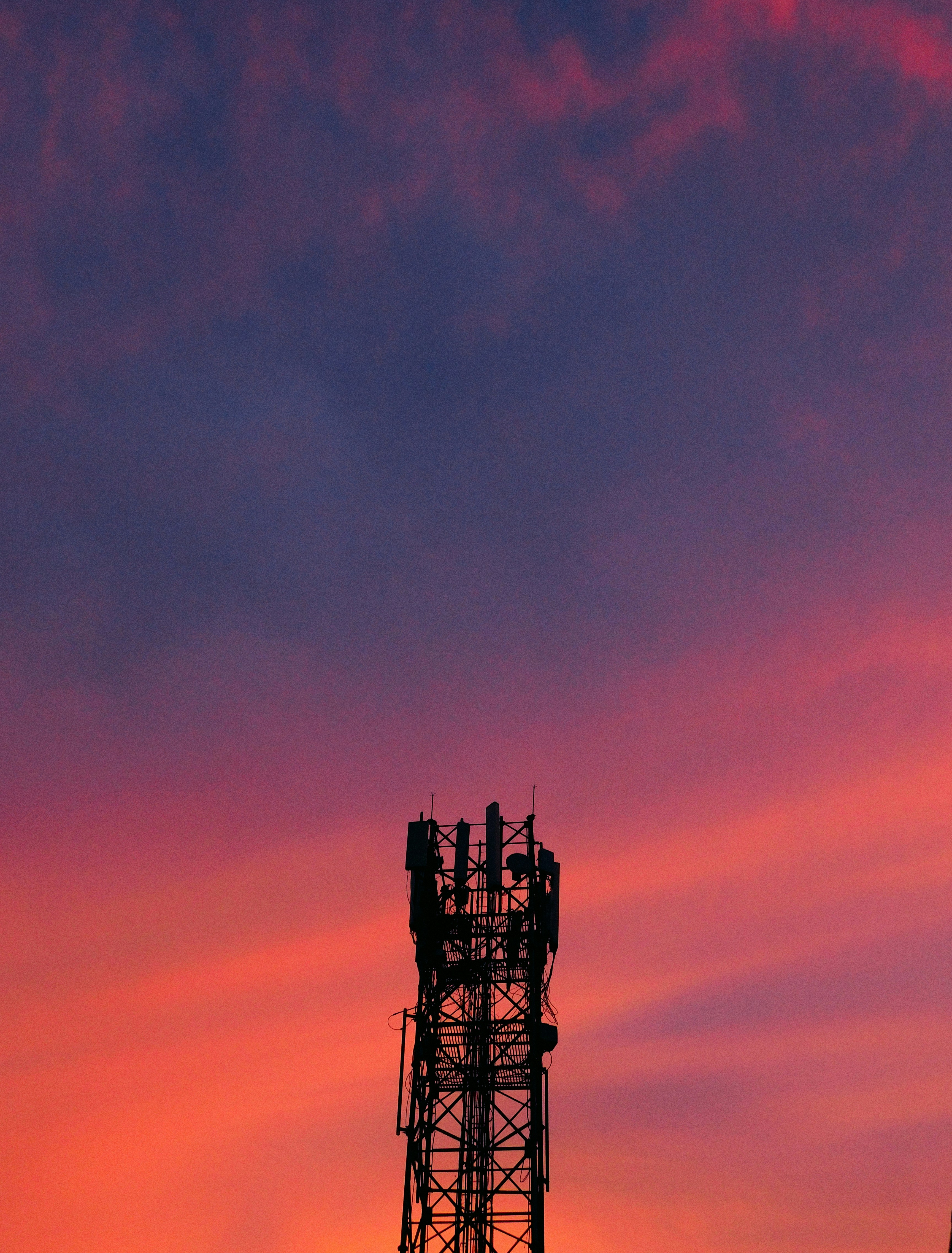 Photo by bishalmurmu1123