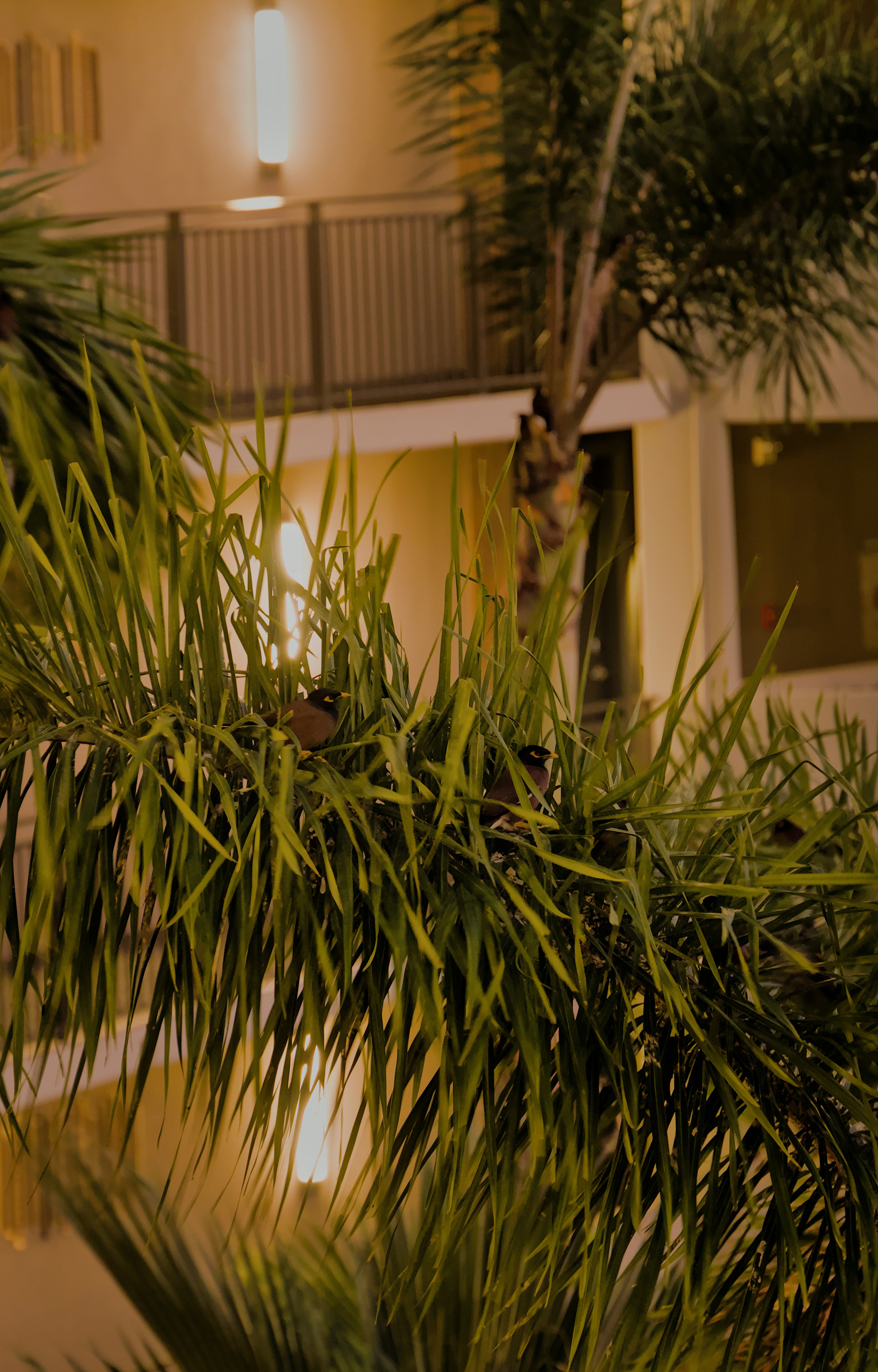 Photo by carbonmonoxide