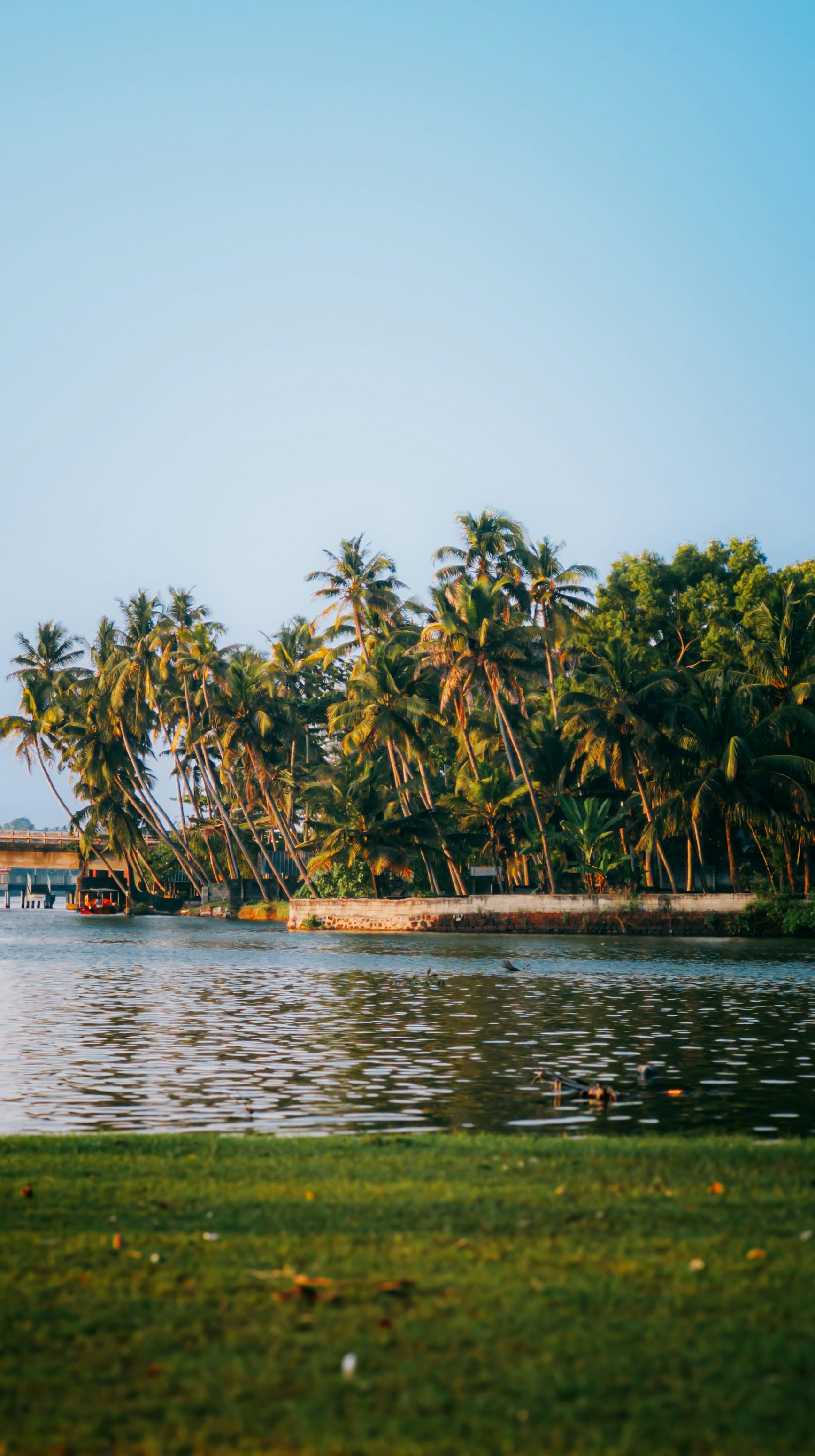 Photo by pocketpixeldiary