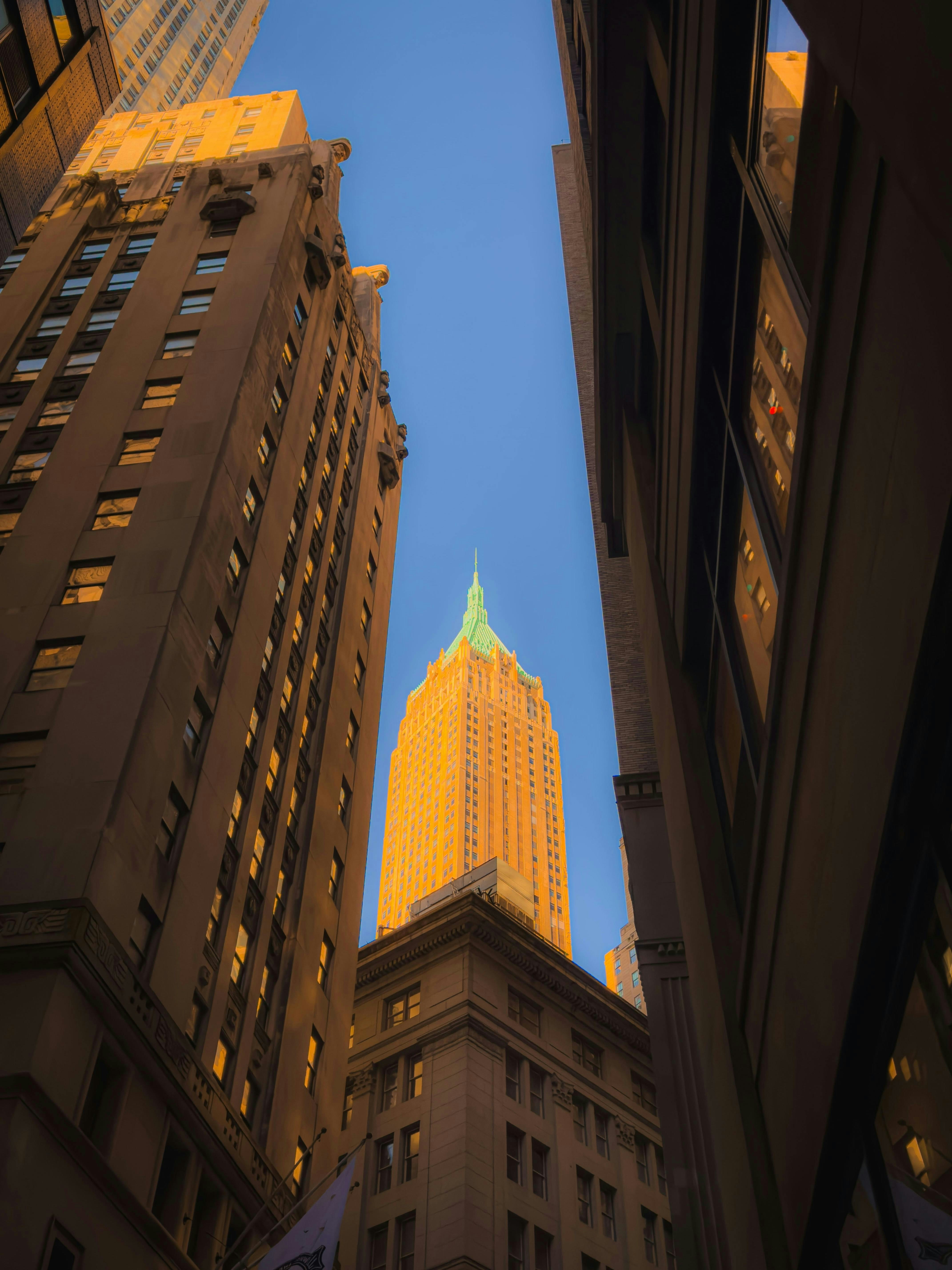 Photo by allenboguslavsky