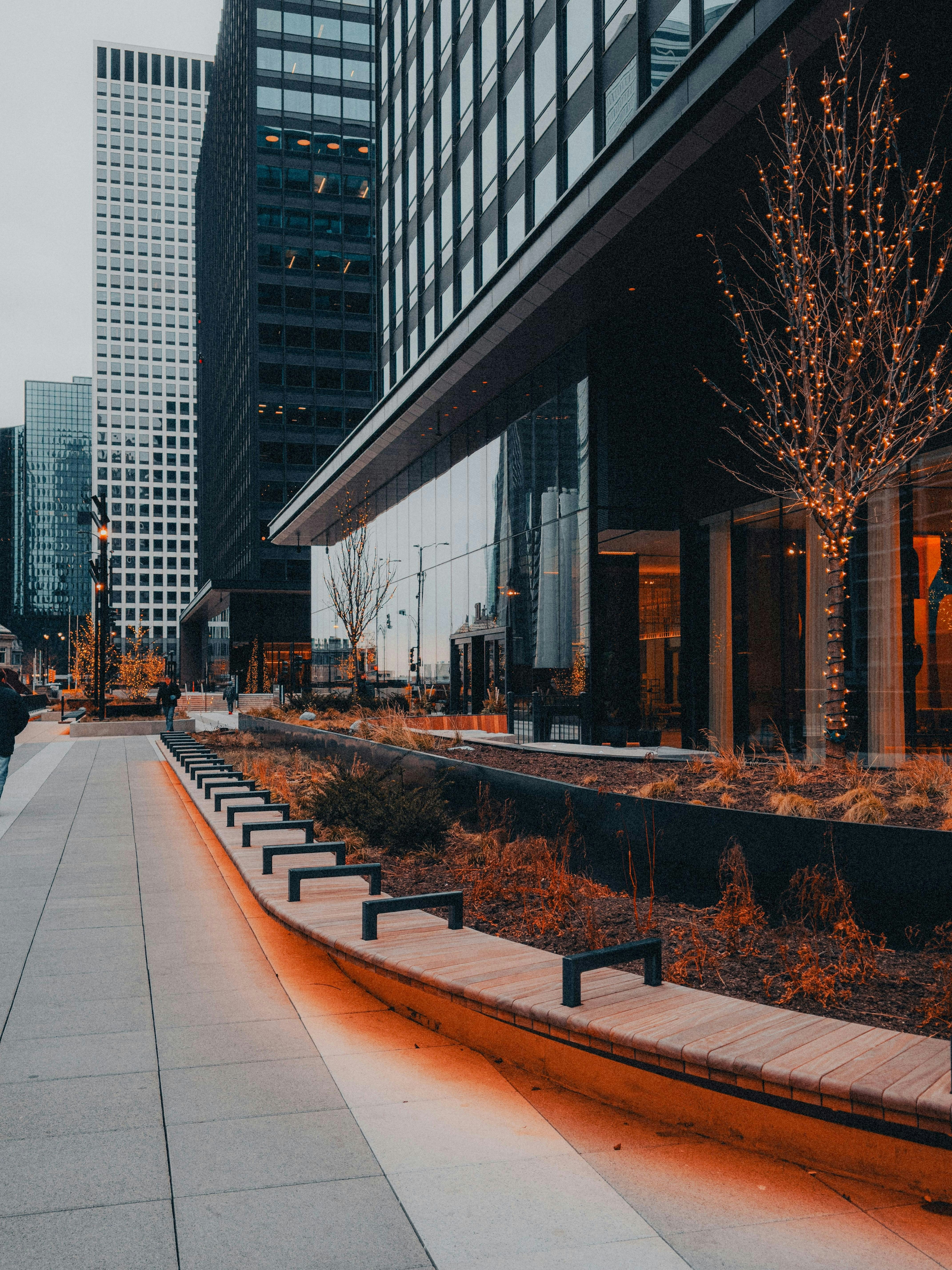 Photo by allenboguslavsky