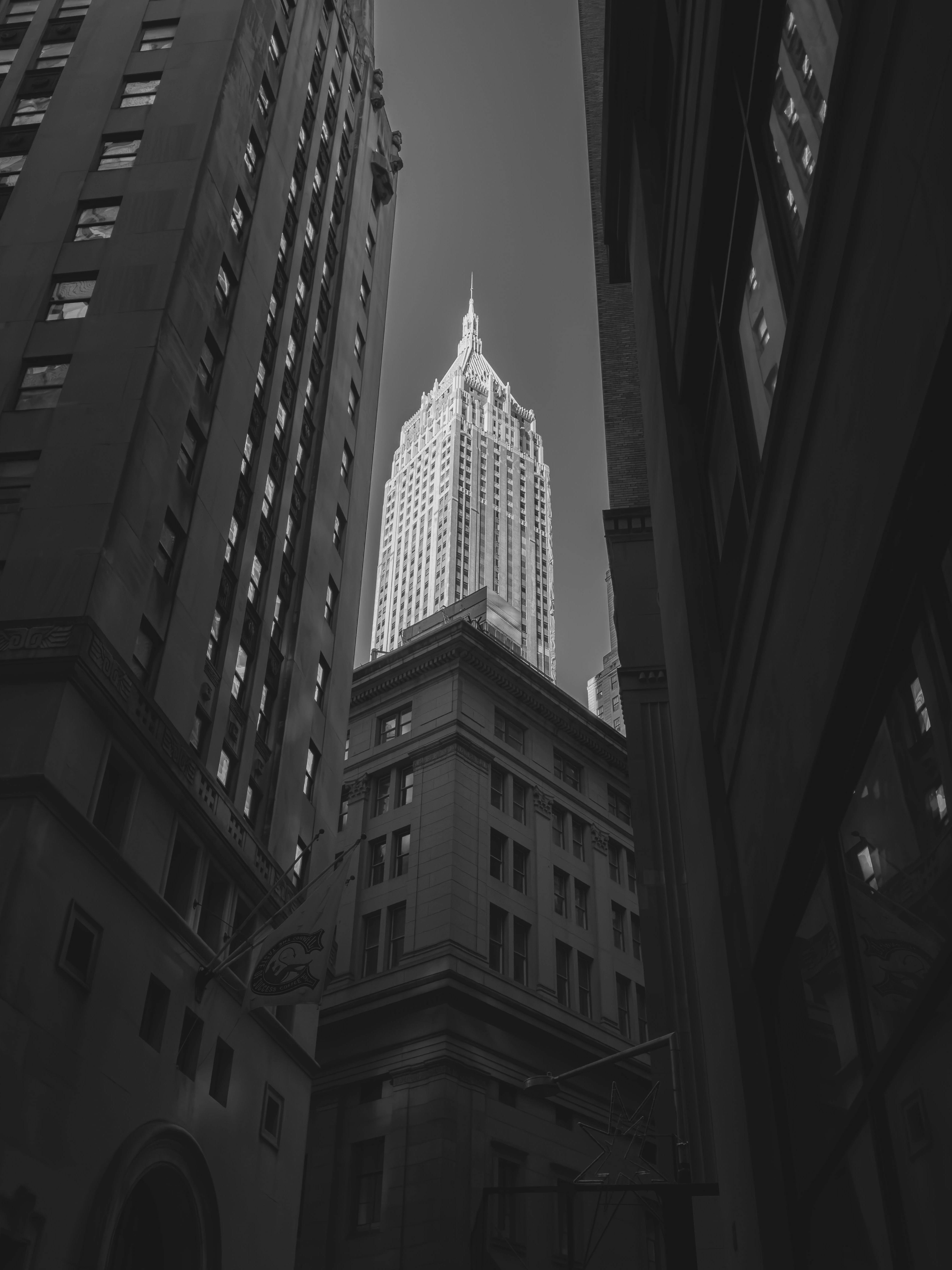 Photo by allenboguslavsky