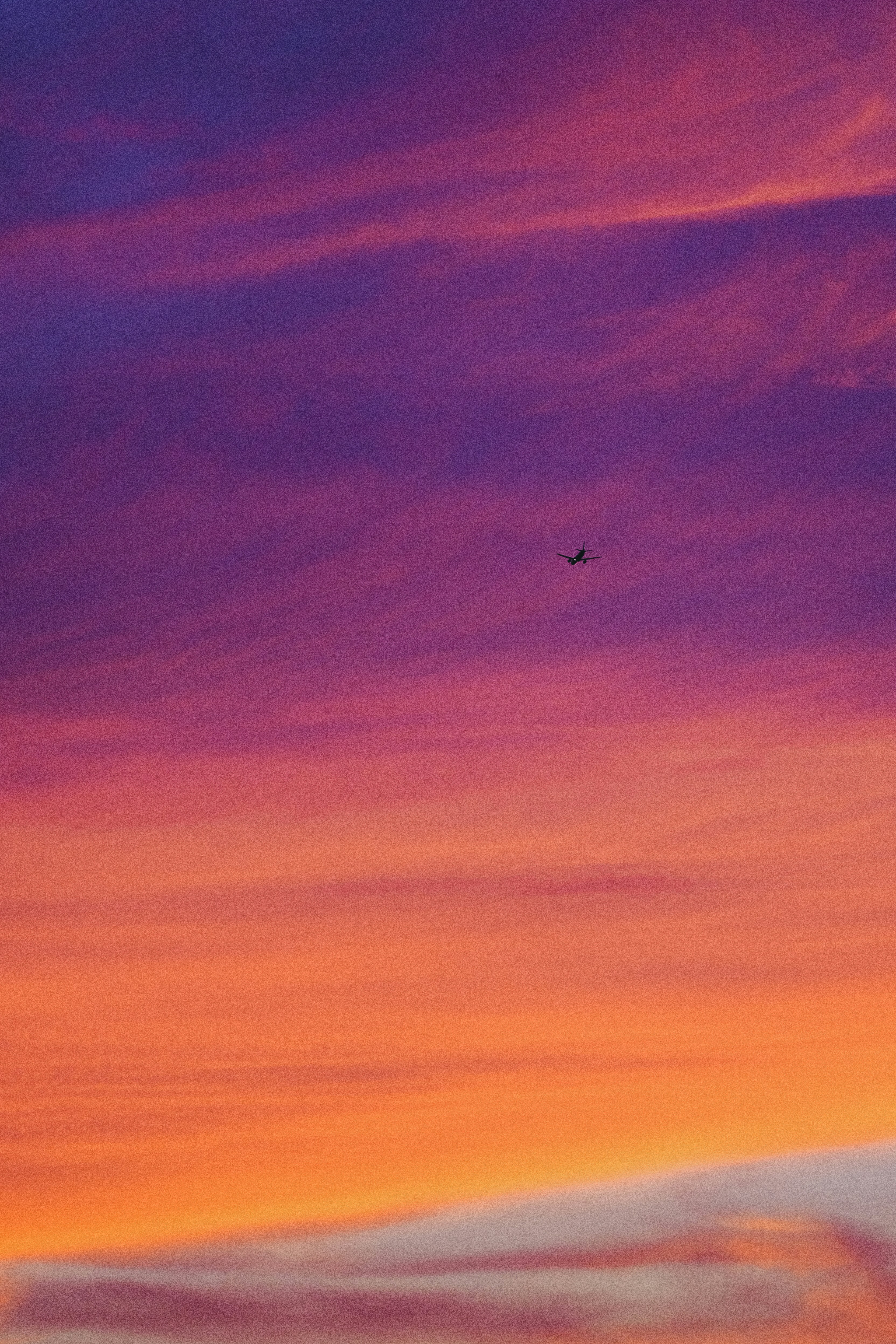 Photo by aserusainhuu