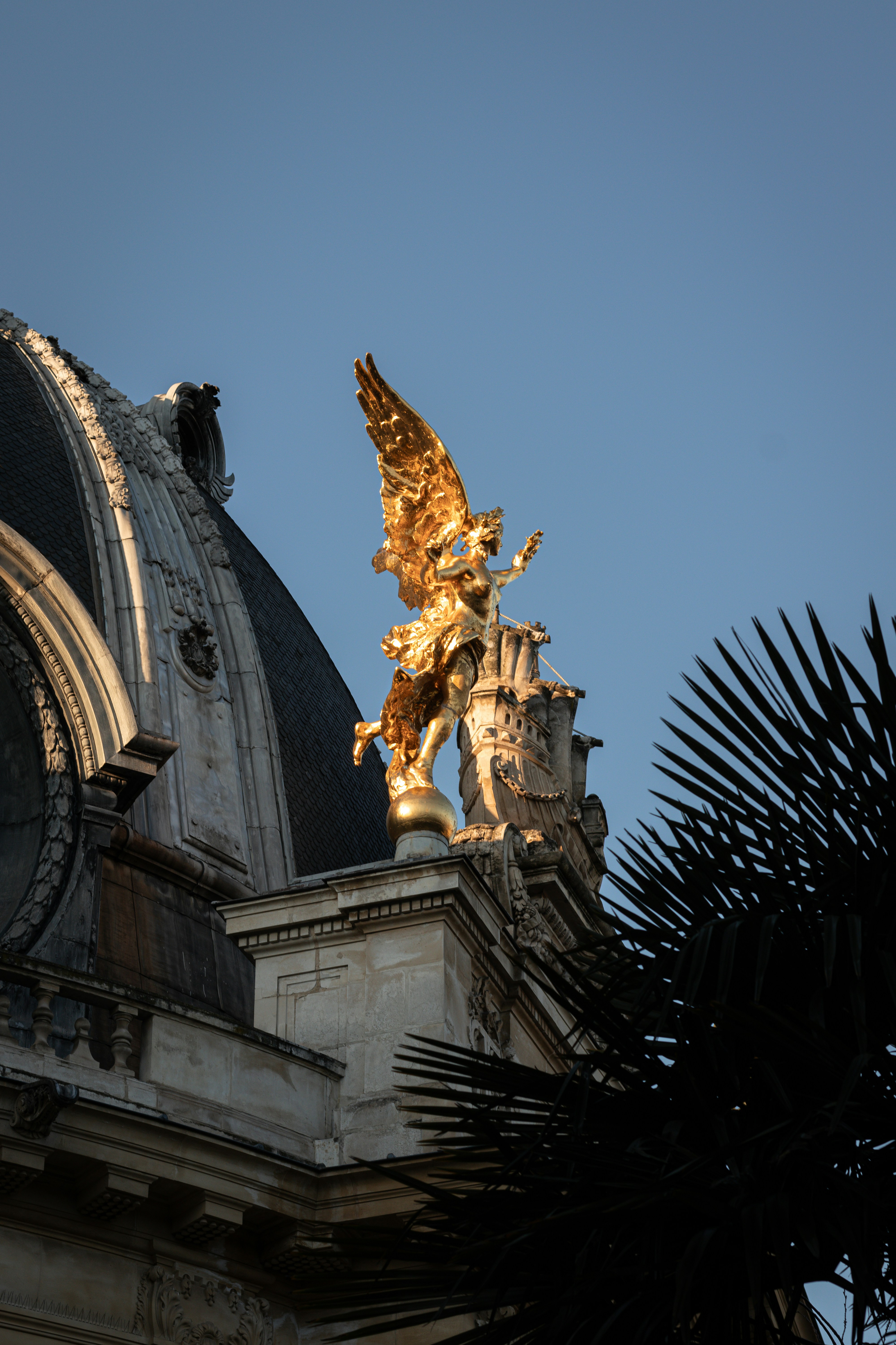 Petit Palais photo 3