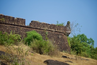 A man standing on top of a hill next to a stone wall