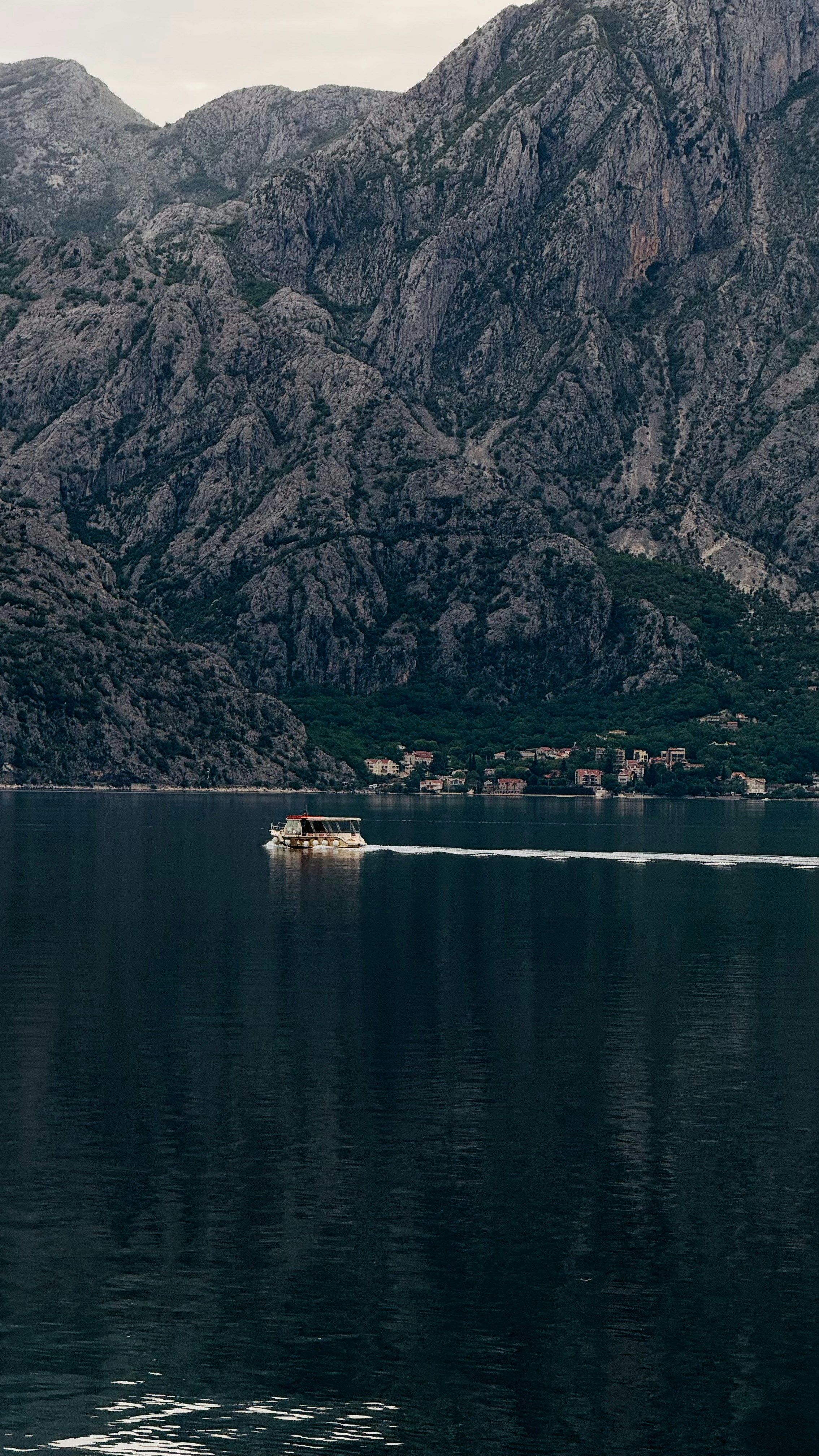 Photo by sandra_sukesh