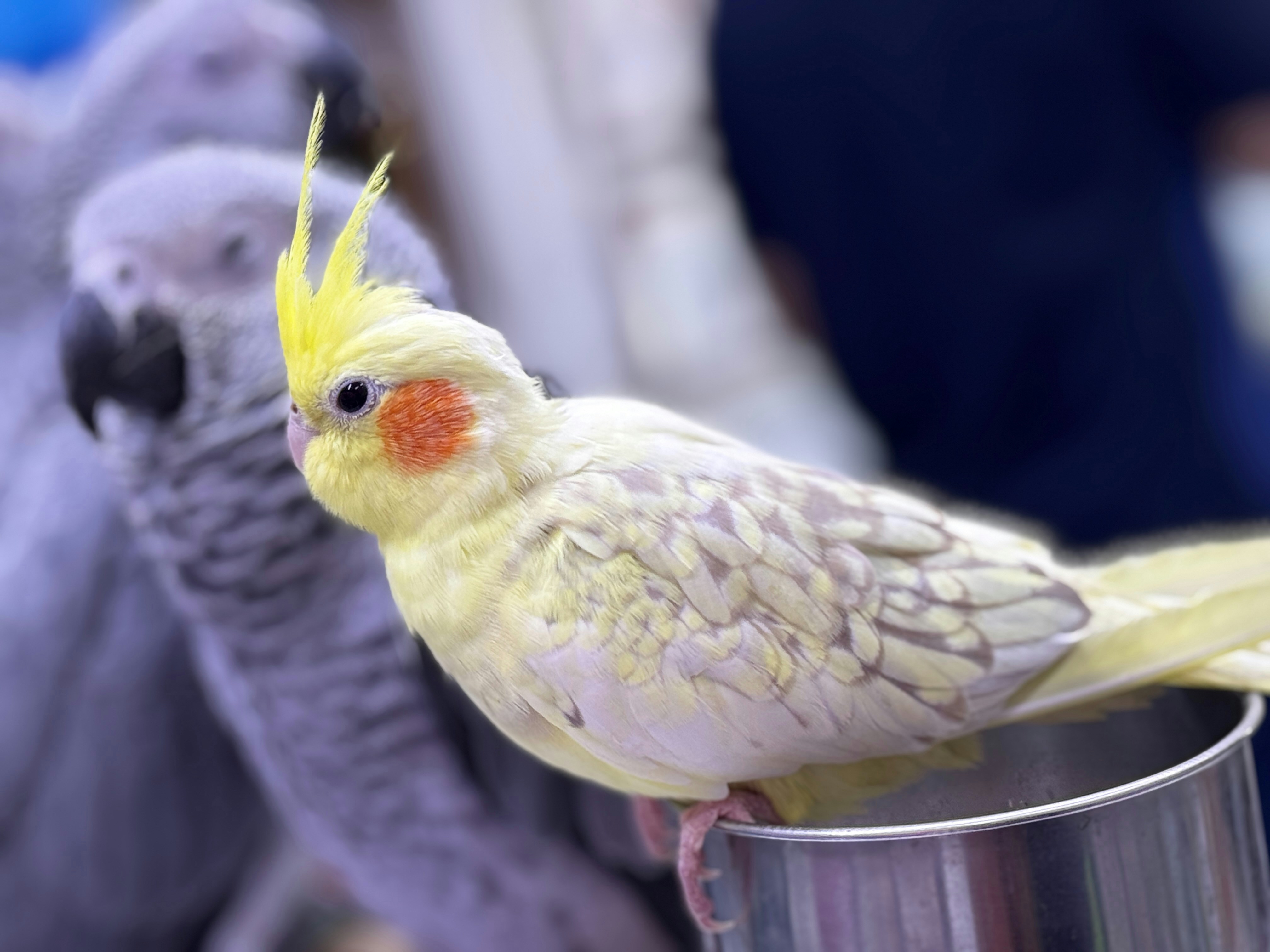 Photo by masarathalkhaili