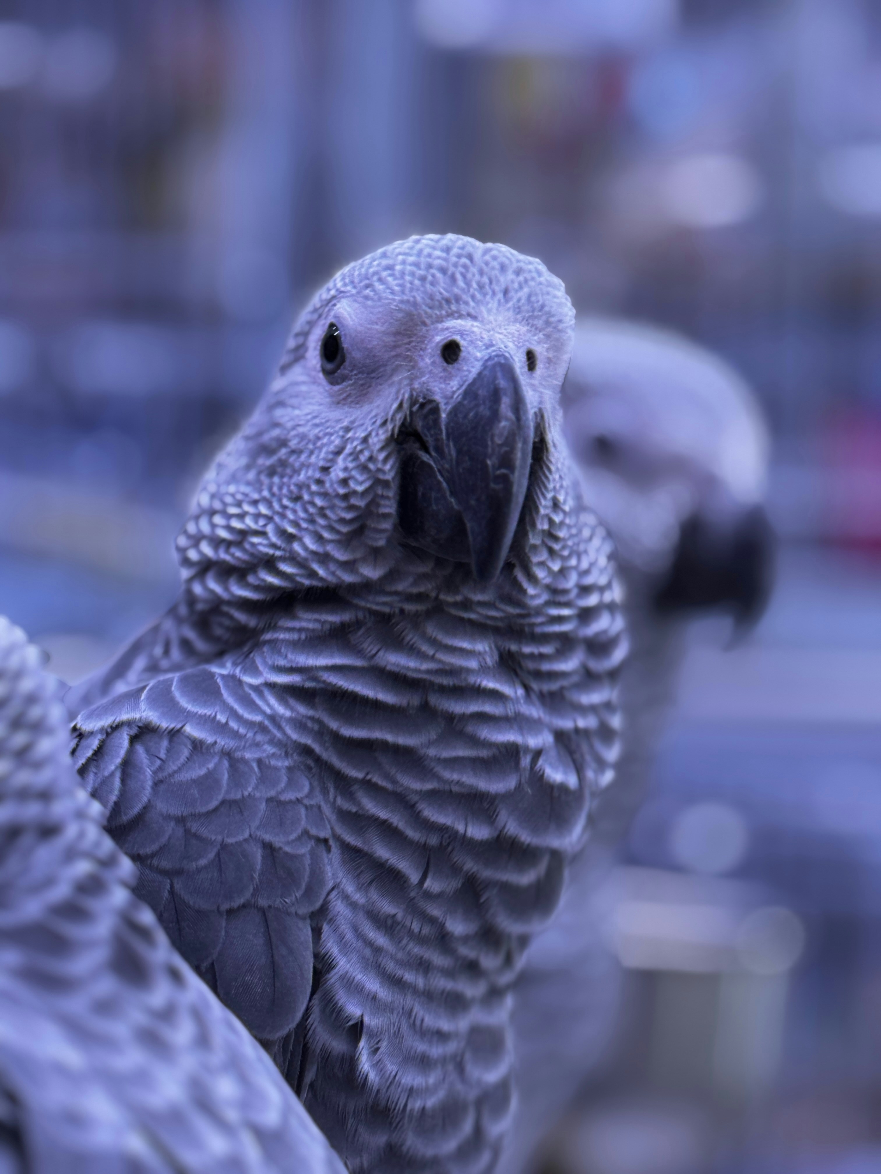 Photo by masarathalkhaili