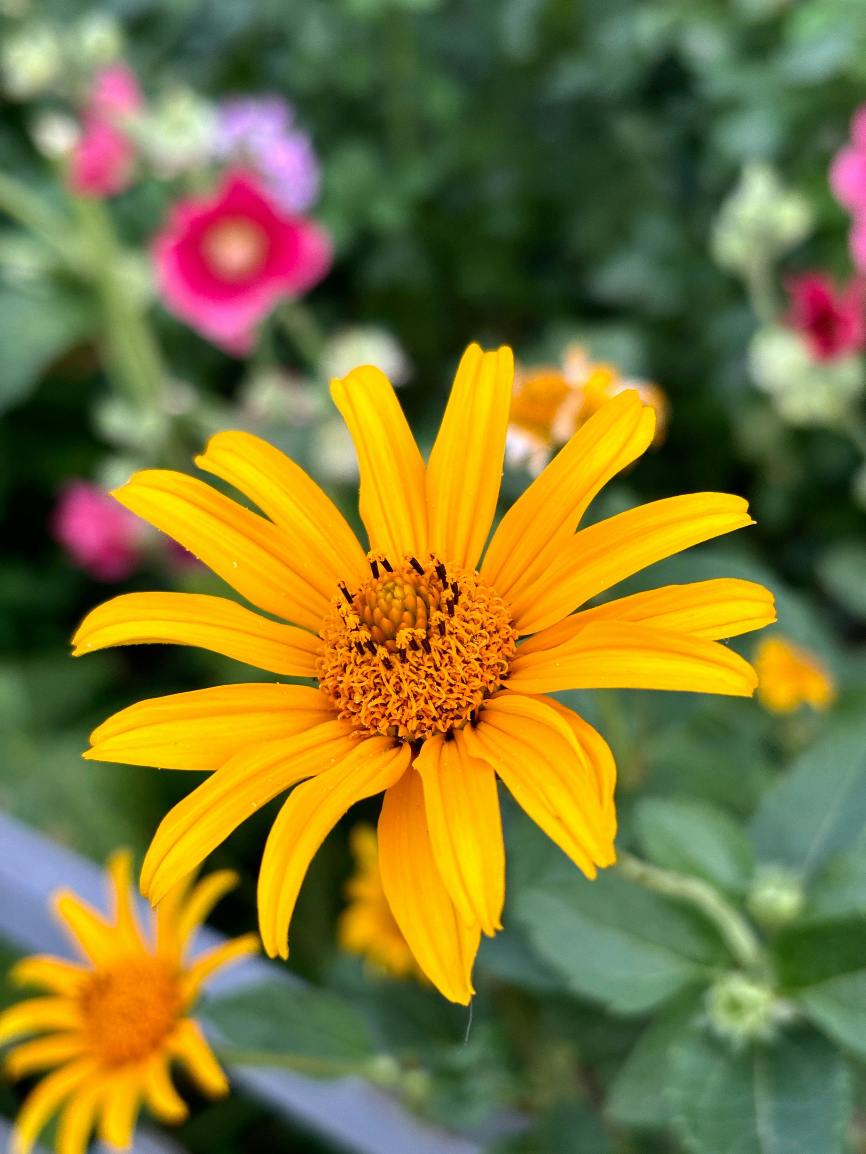 Photo by irynalimborska