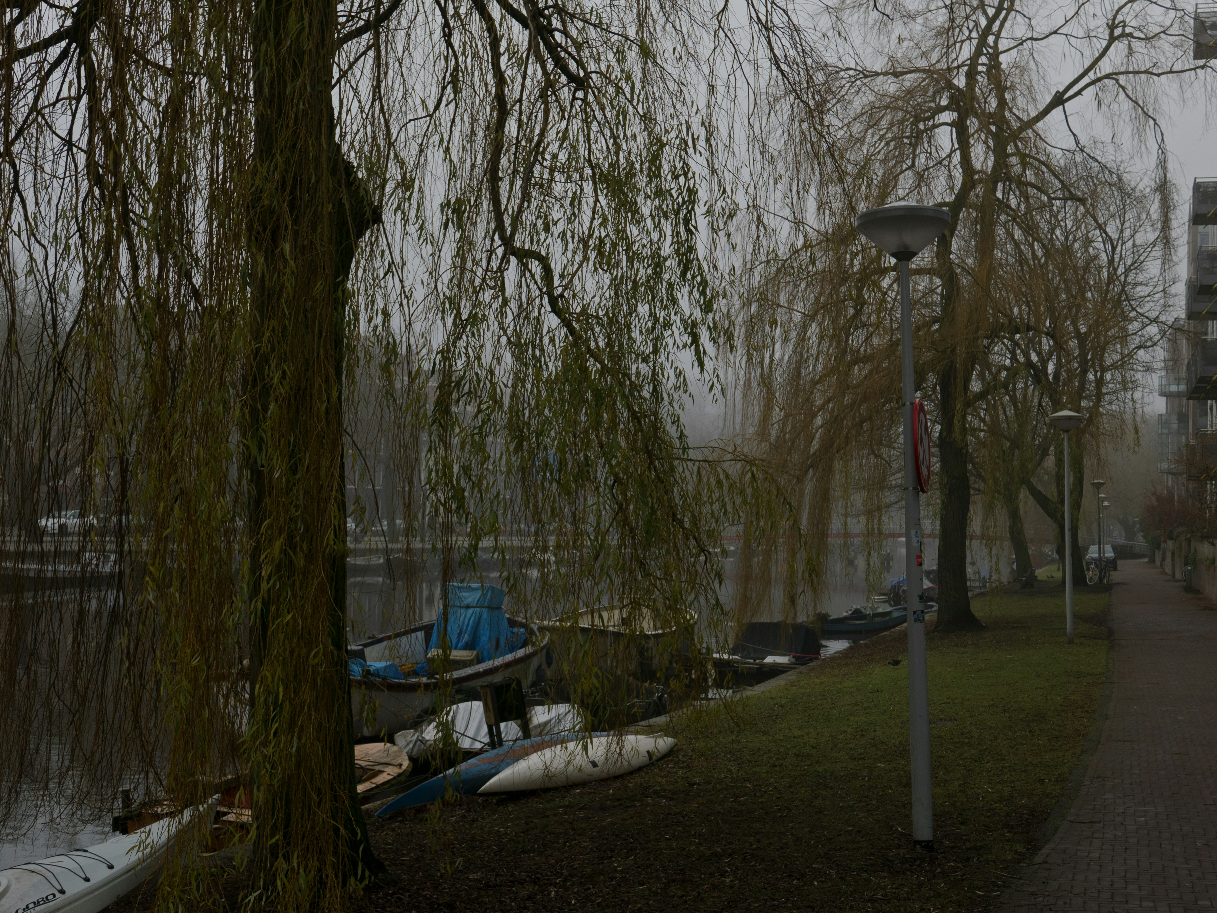 A street sign sitting next to a body of water