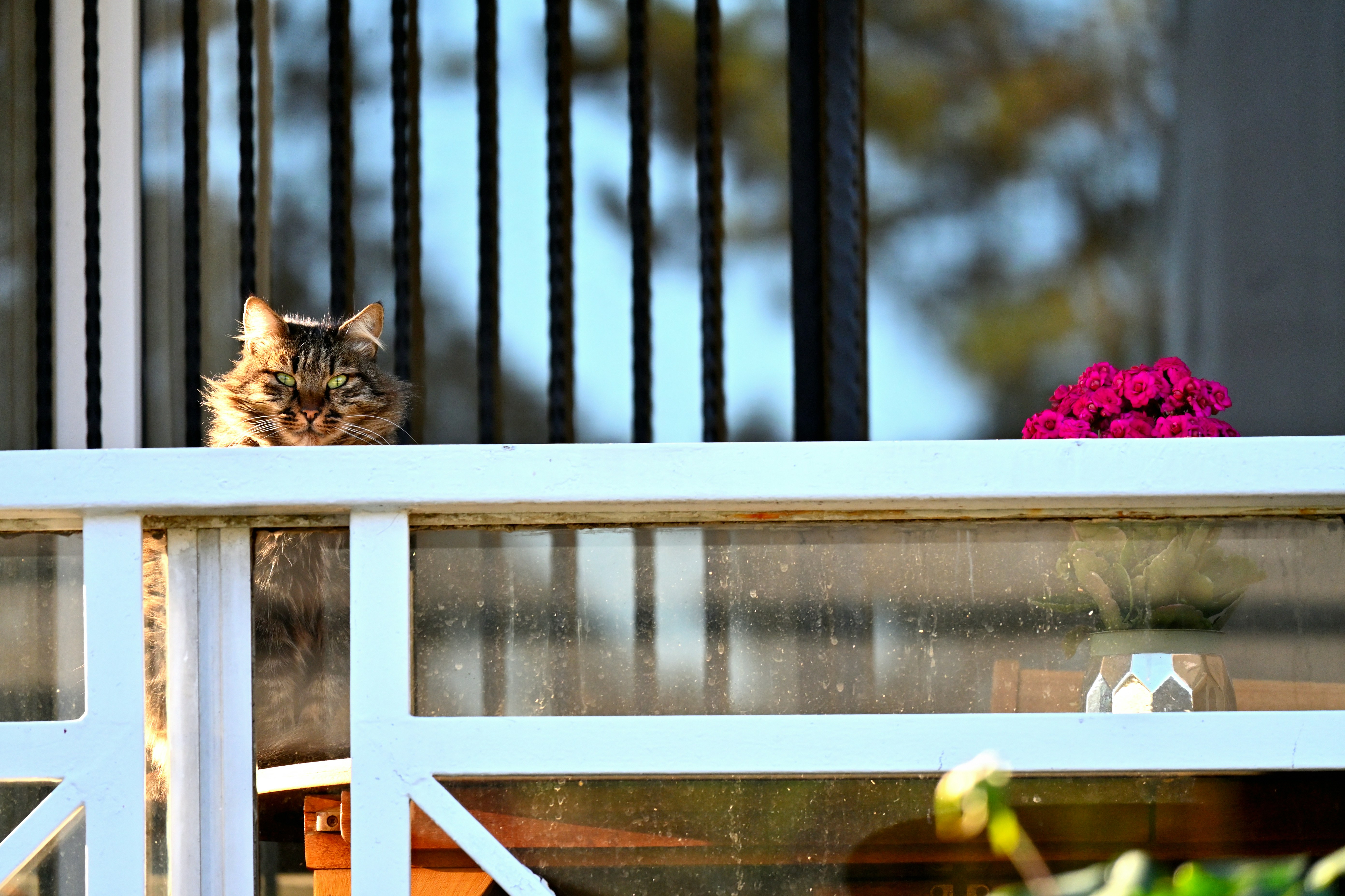 Photo by aminzabardast