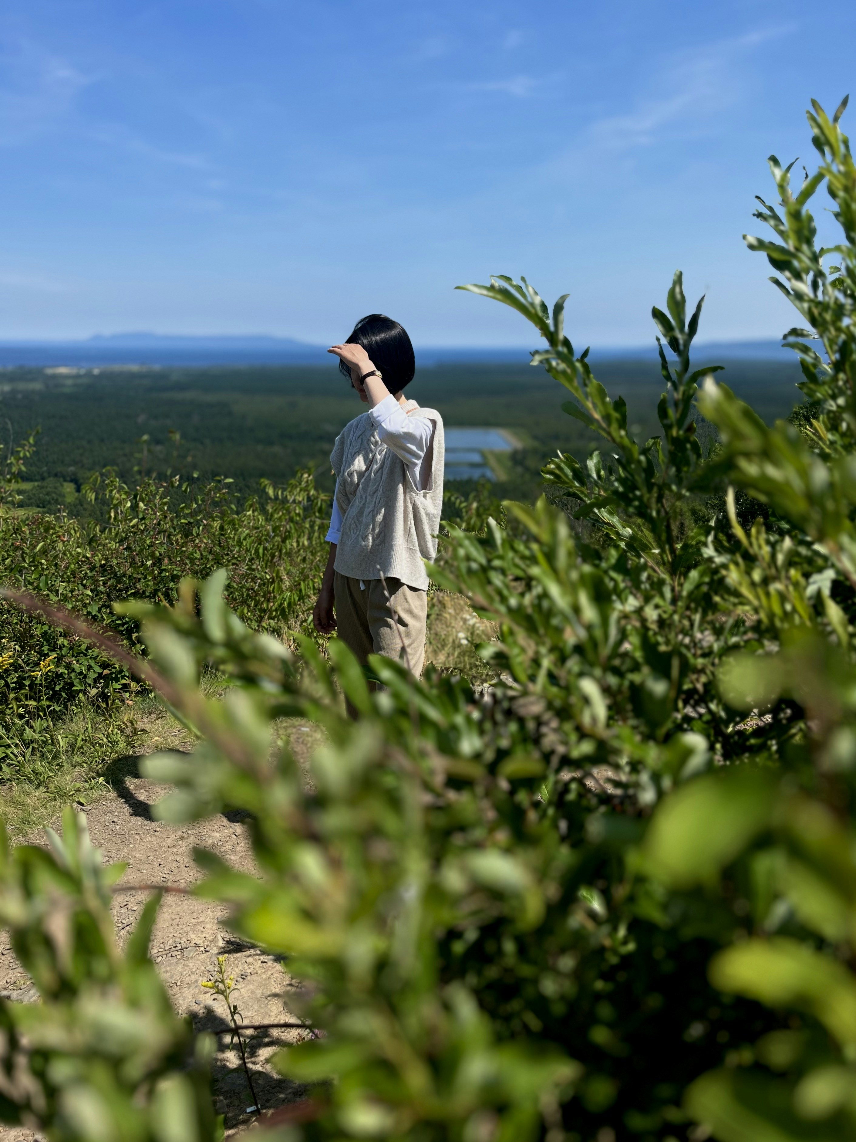 A man standing on top of a lush green hillside