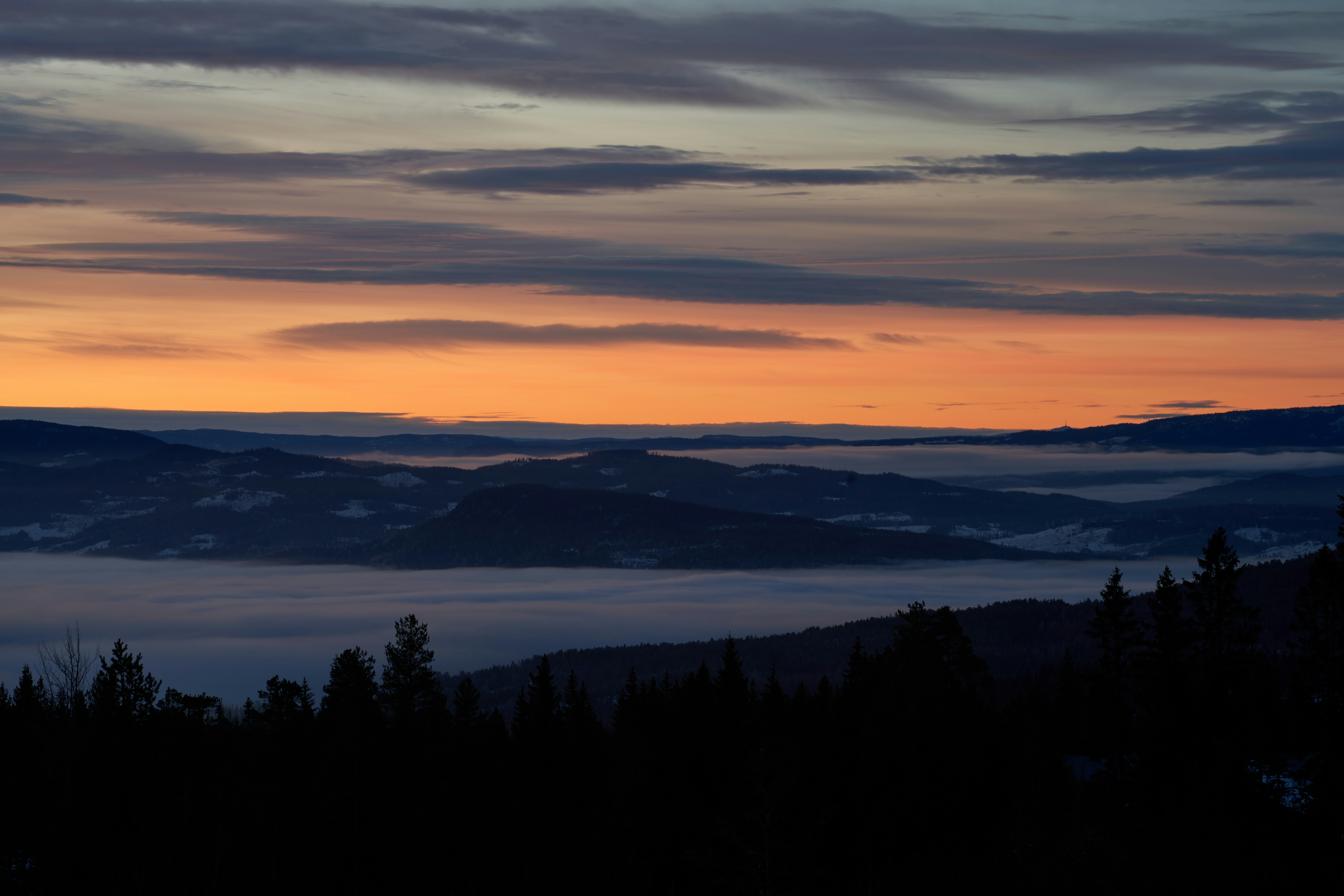 Photo by davotibarna