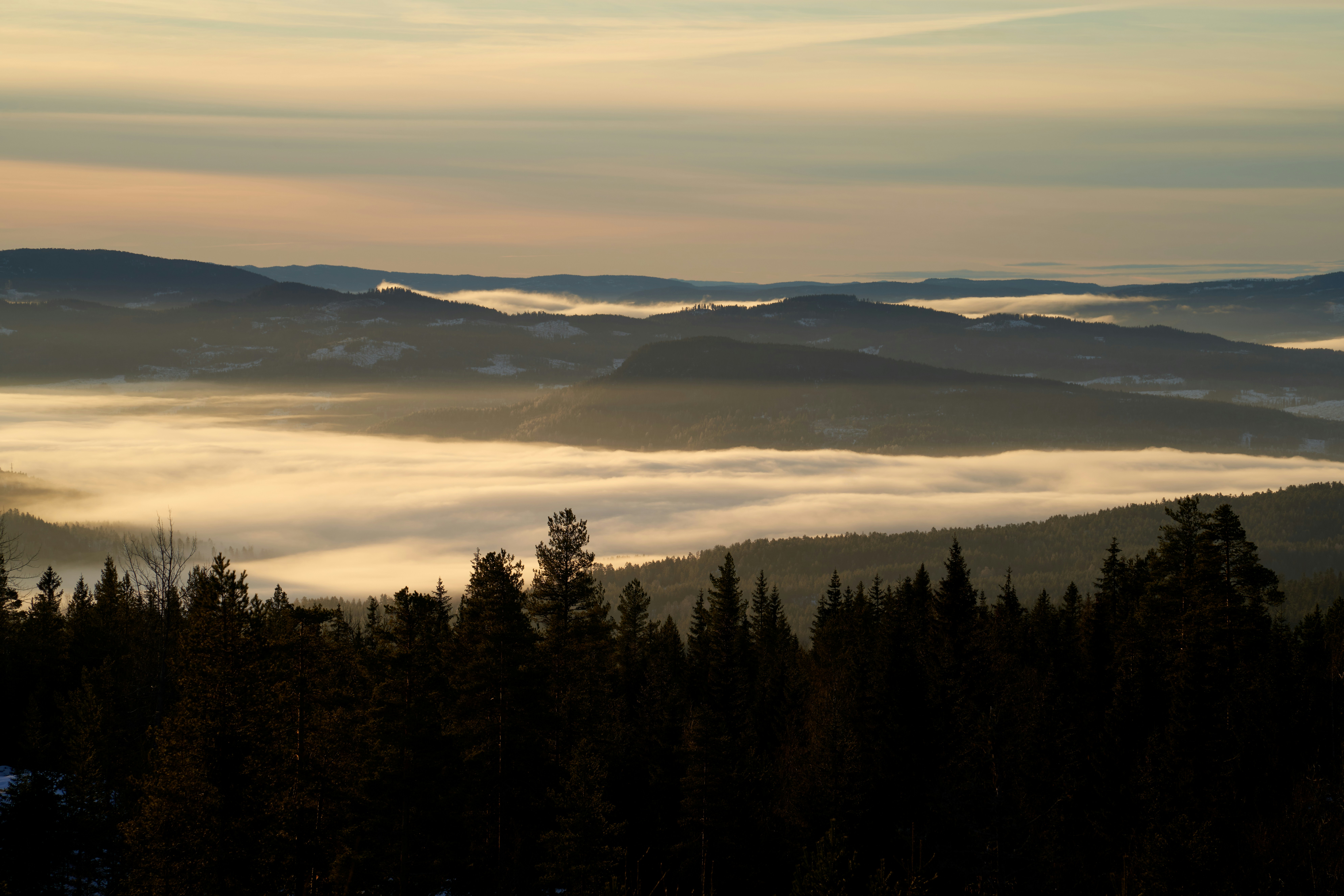 Photo by davotibarna