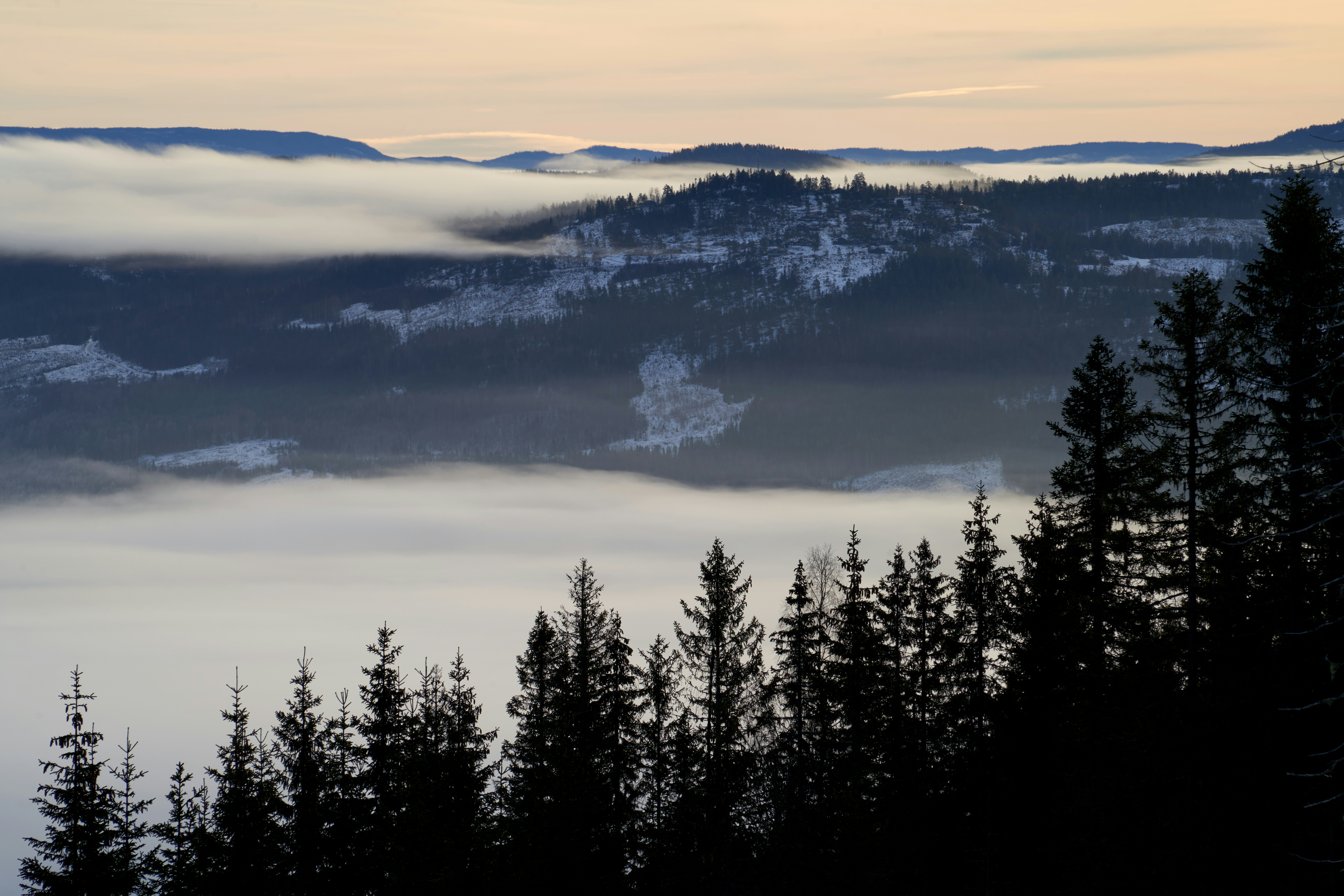 Photo by davotibarna