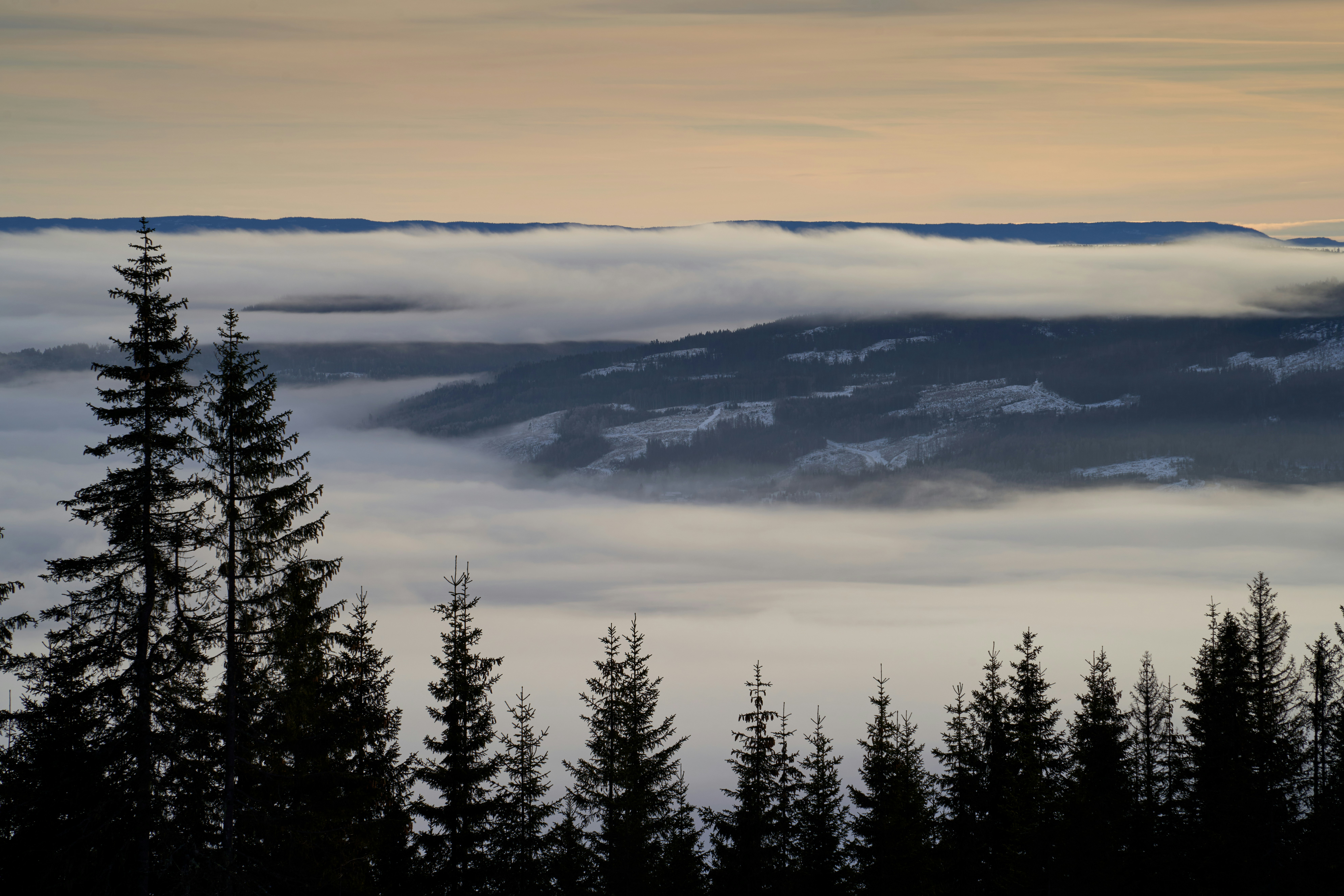 Photo by davotibarna