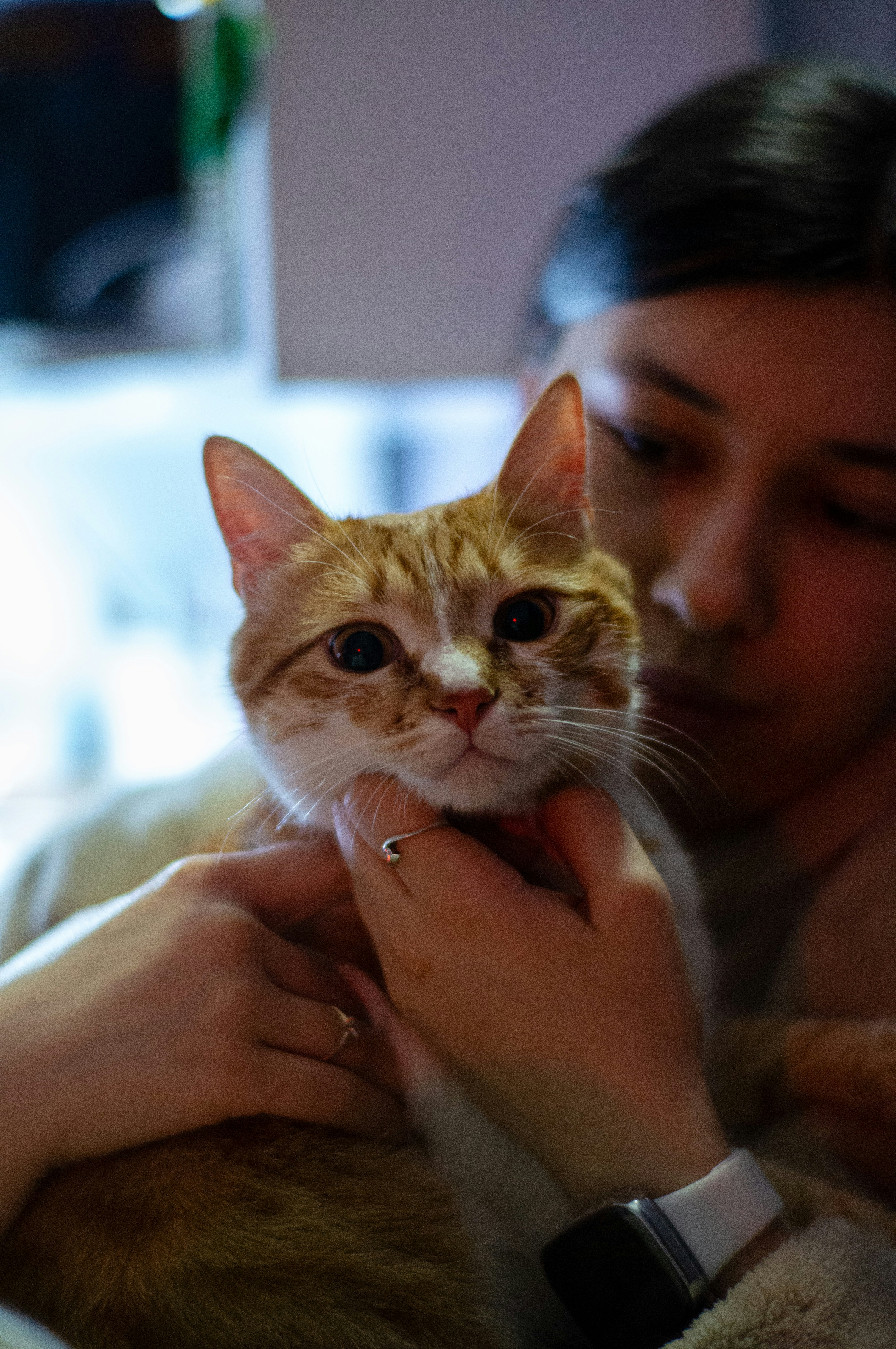 They React to Your Facial Expressions (image credits: unsplash)