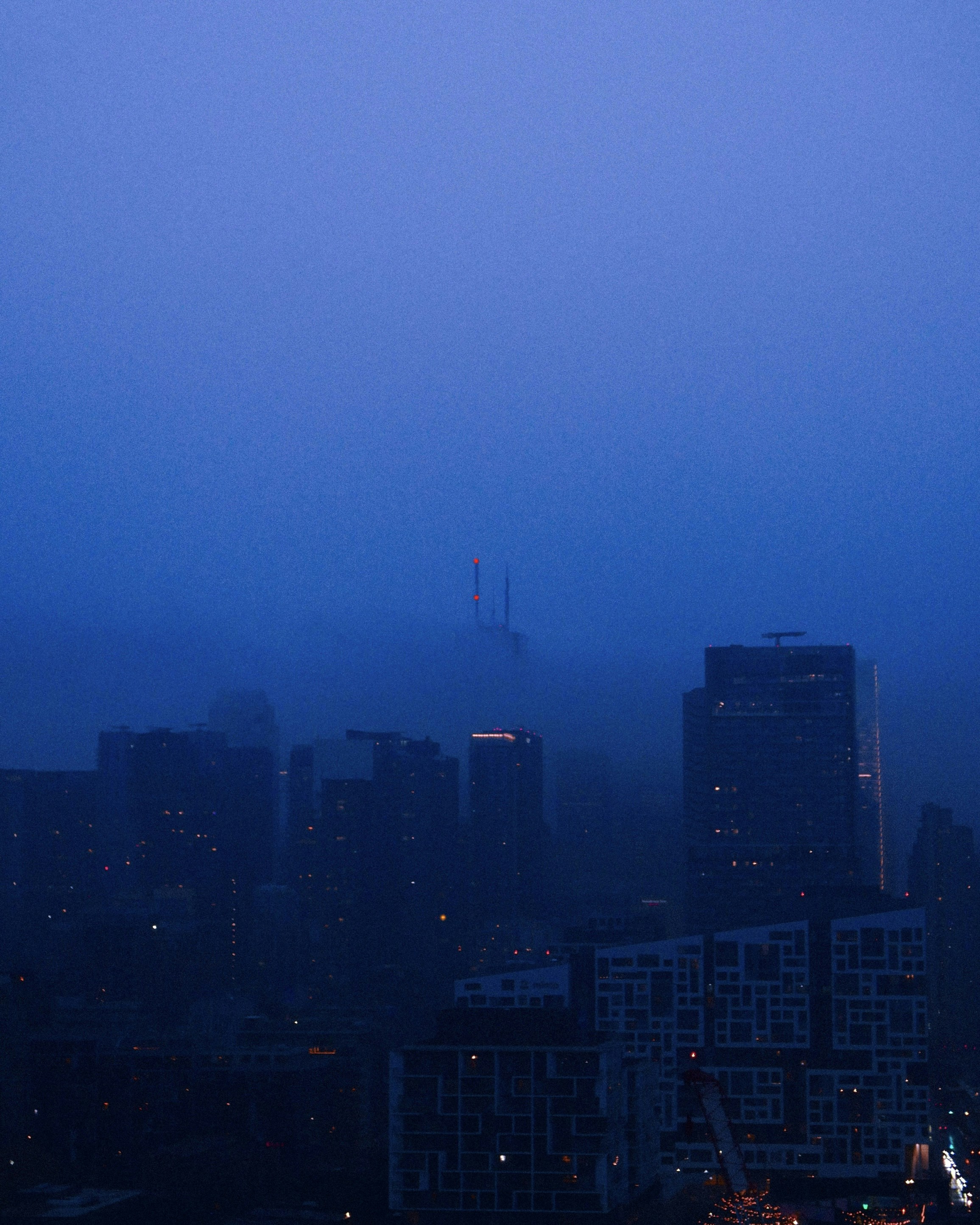 Photo by vitalymazur