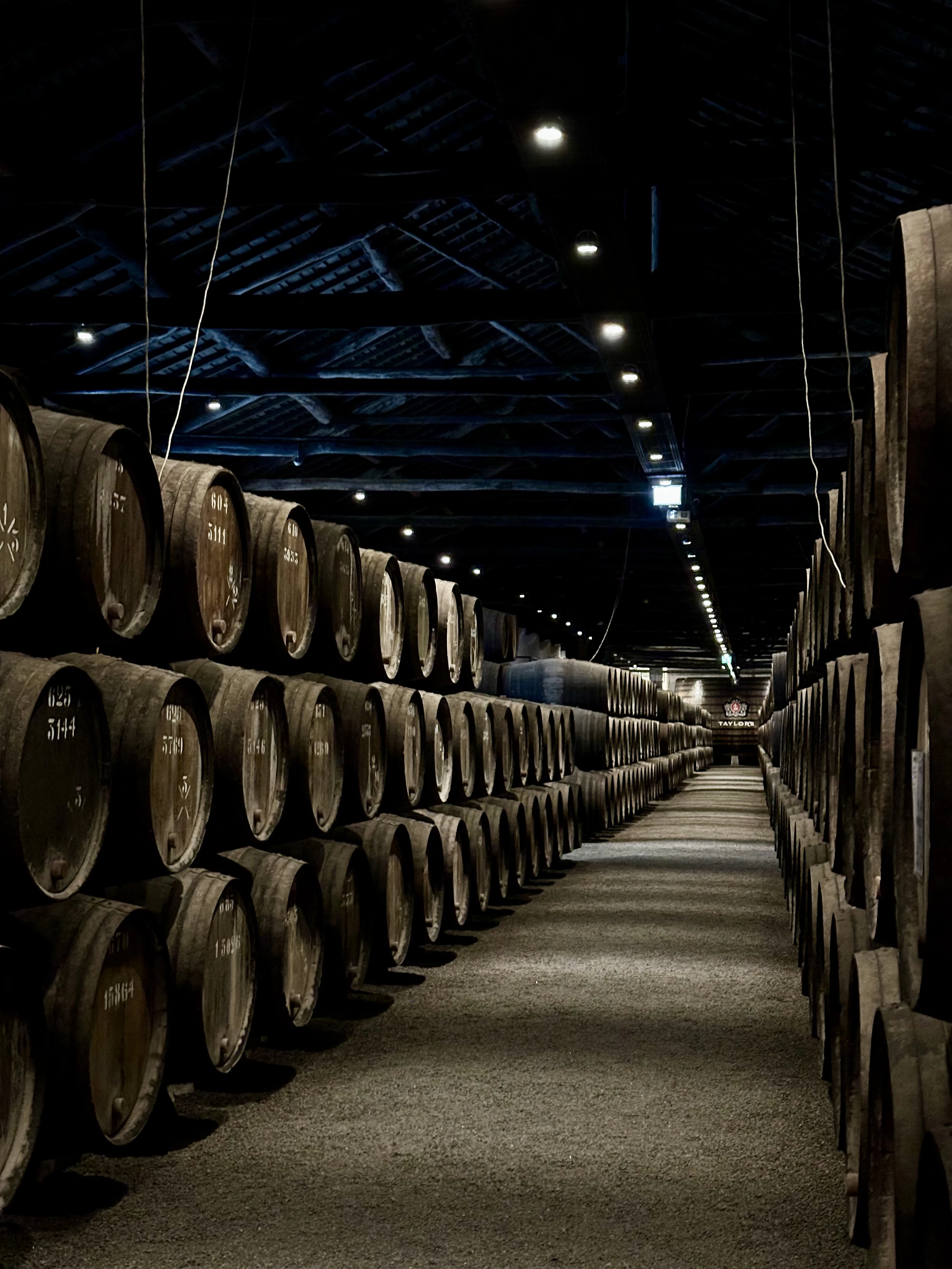 A long dim aisle inside a port lodge in Vila Nova de Gaia, oak pipes stacked three high on both sides under a dark timber roof, a lit sign glowing at the far end of the cellar.
