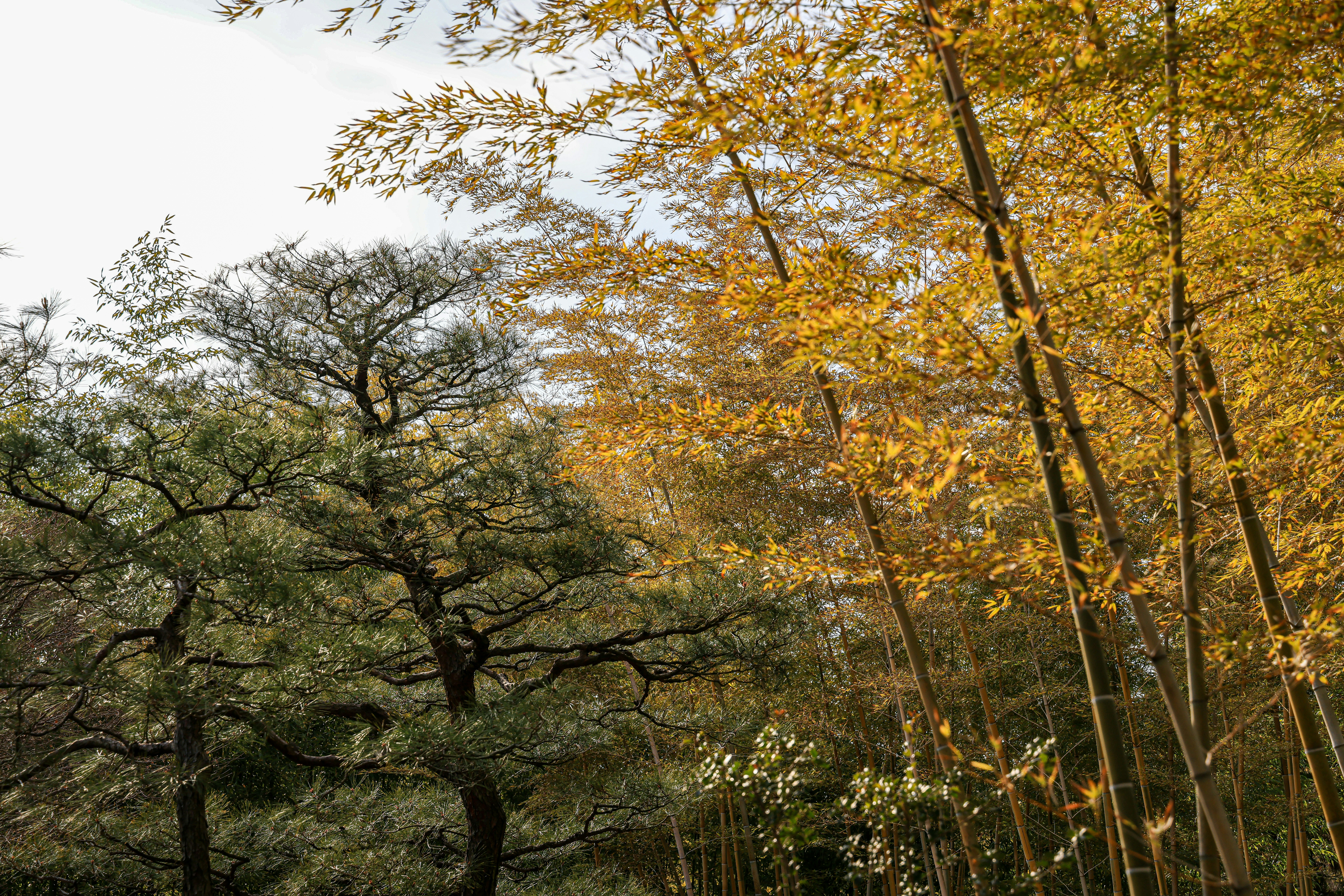 Photo by maximilian_brand