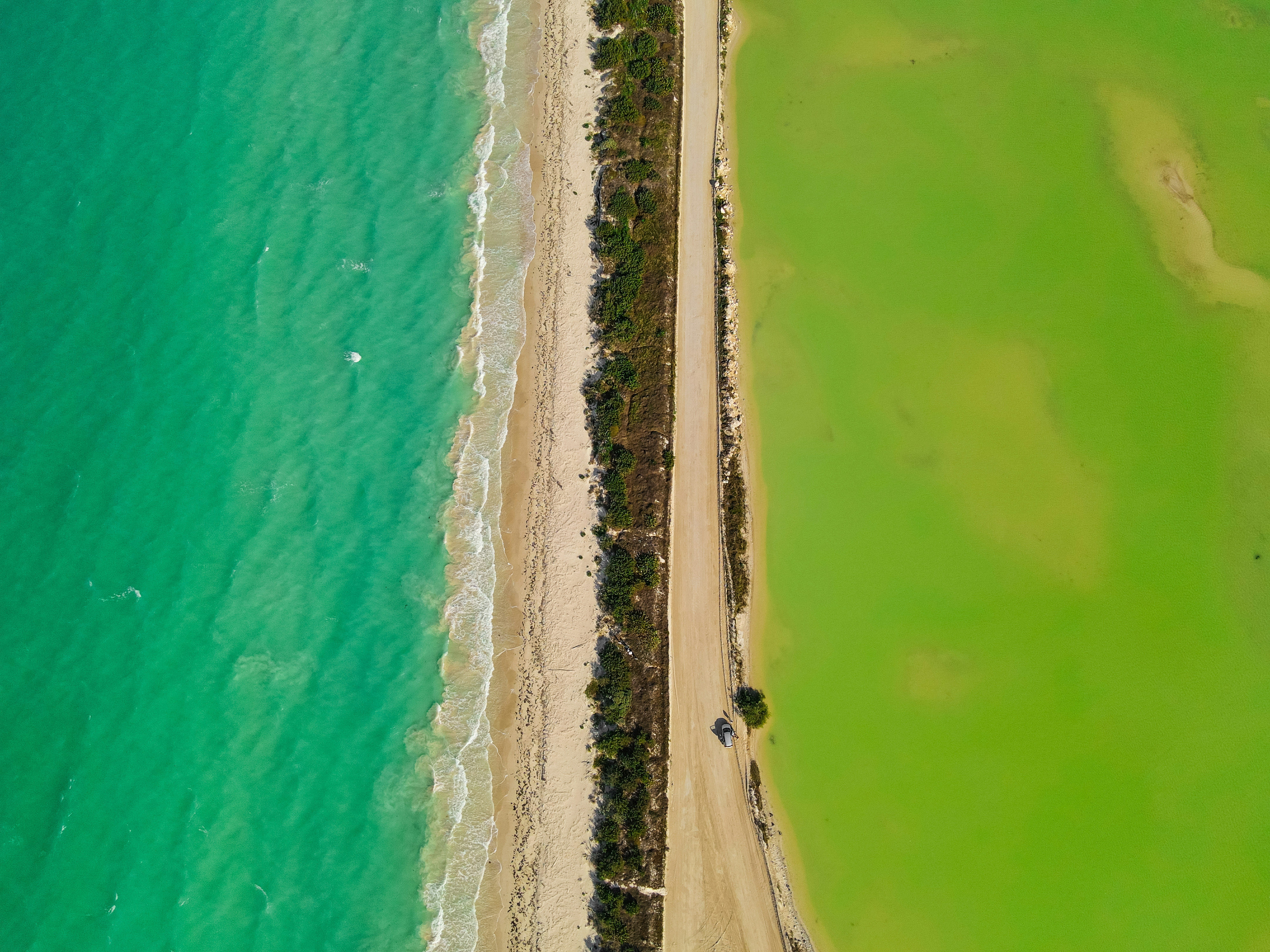 Photo by manimanitas