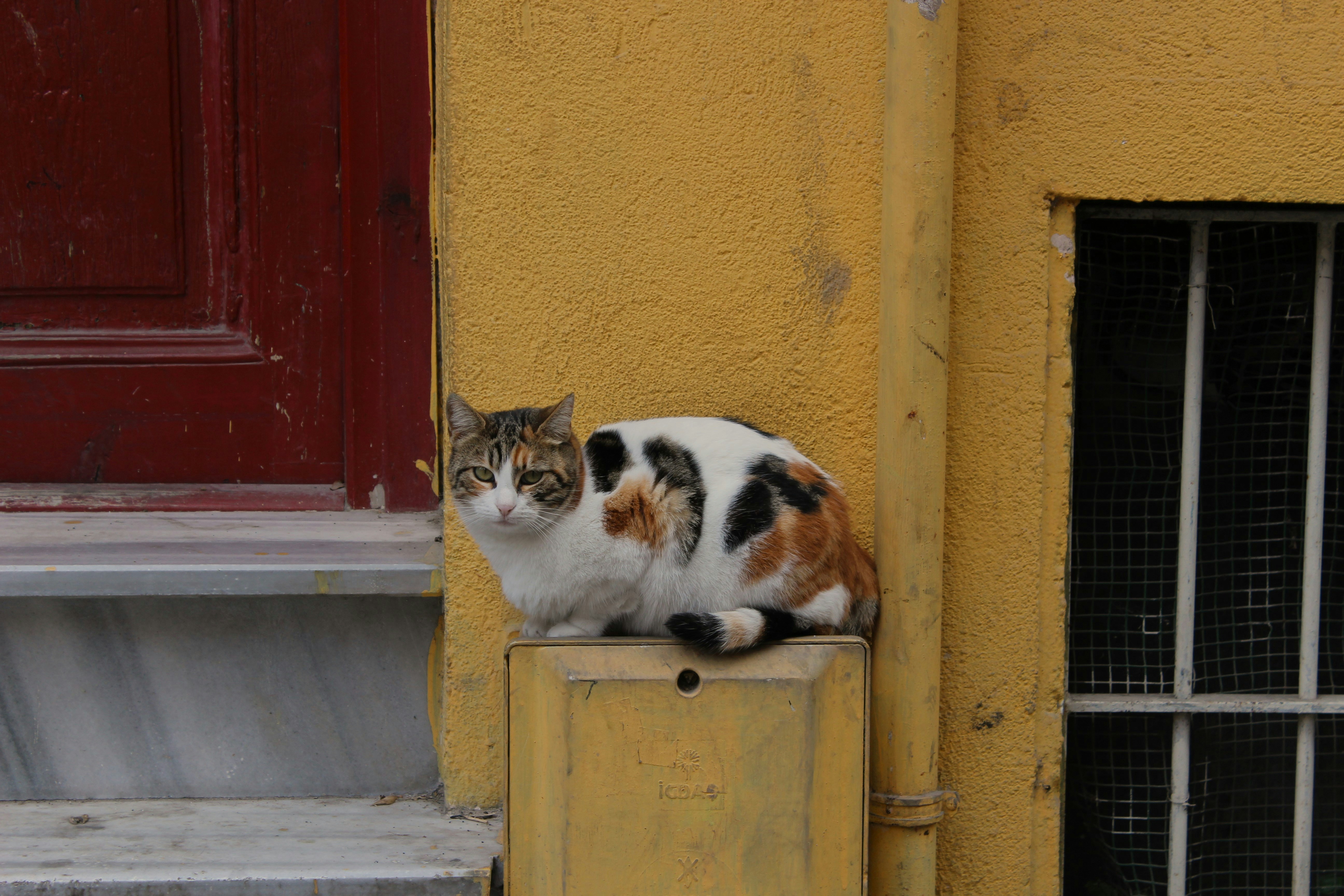 Photo by rudagallery