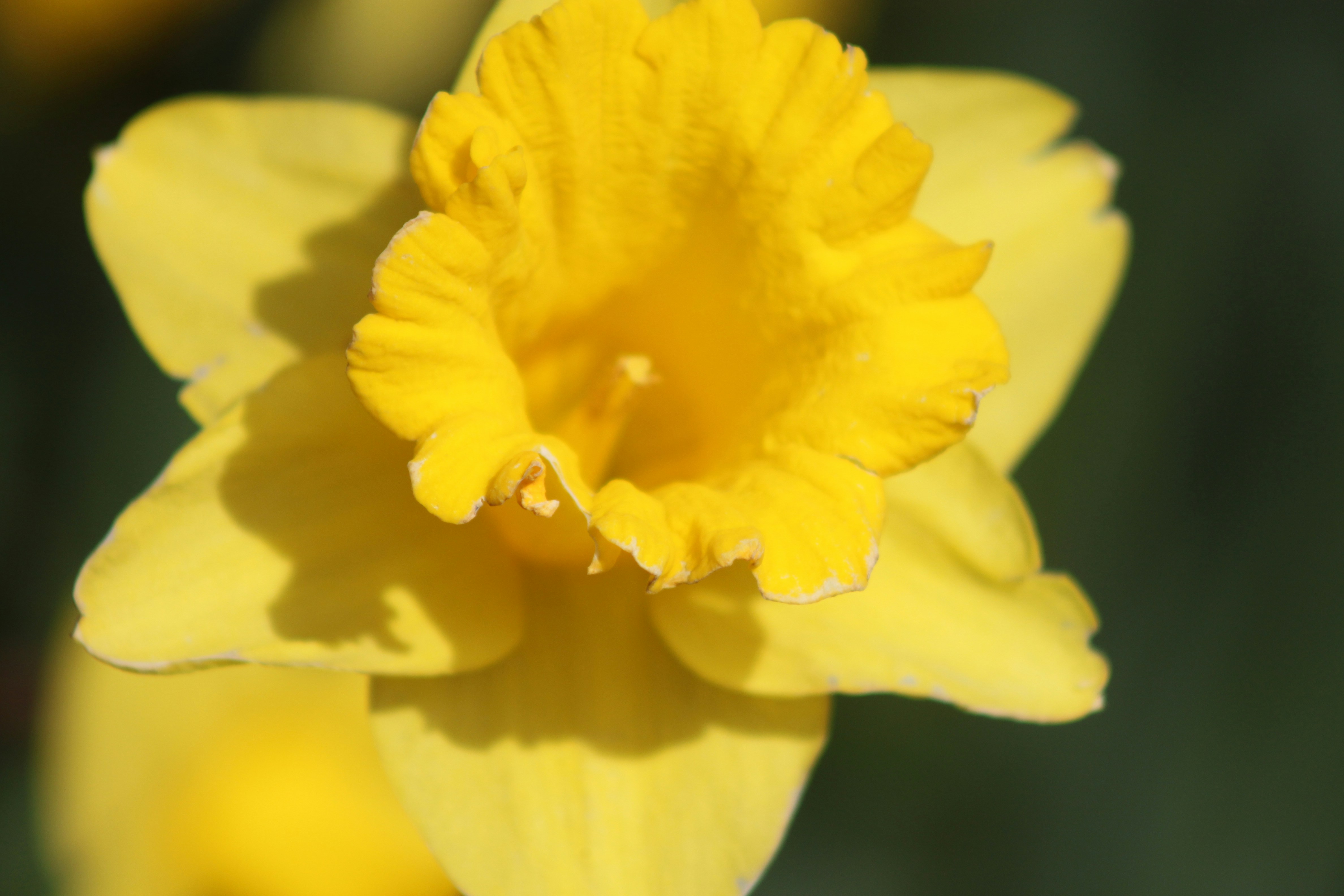 Photo by rubyphotography