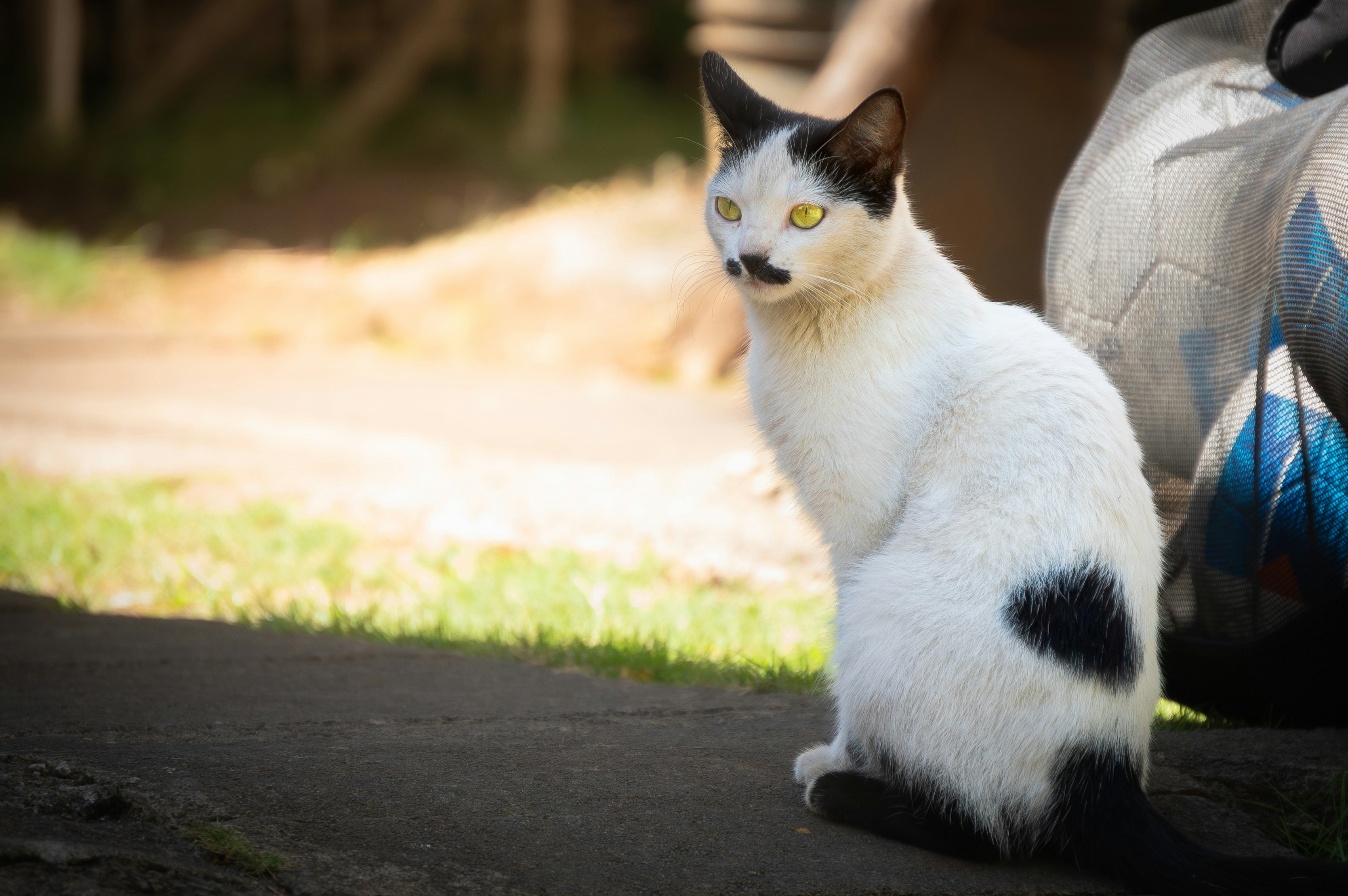 Photo by cinematic_life_nic