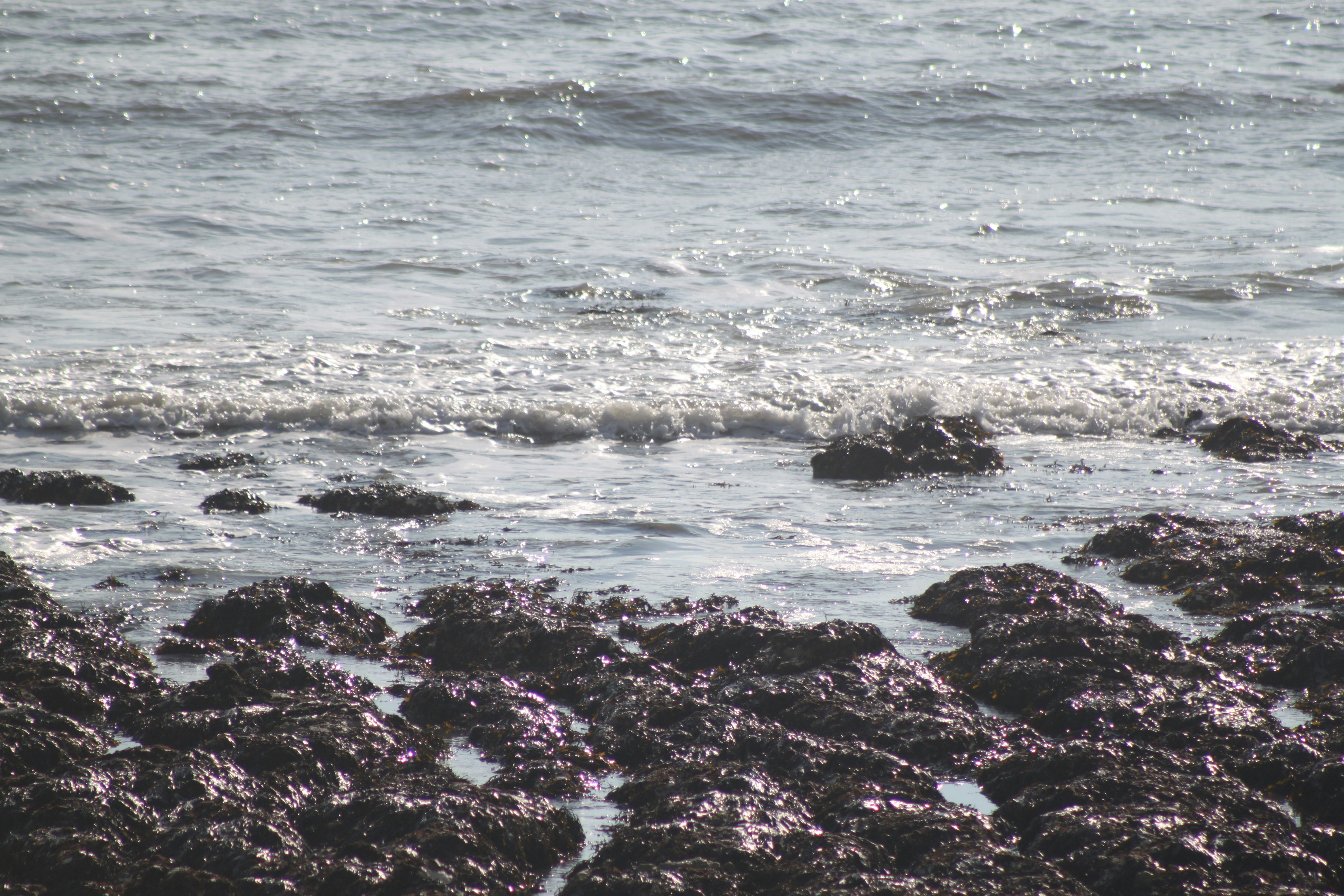 Photo by rubyphotography