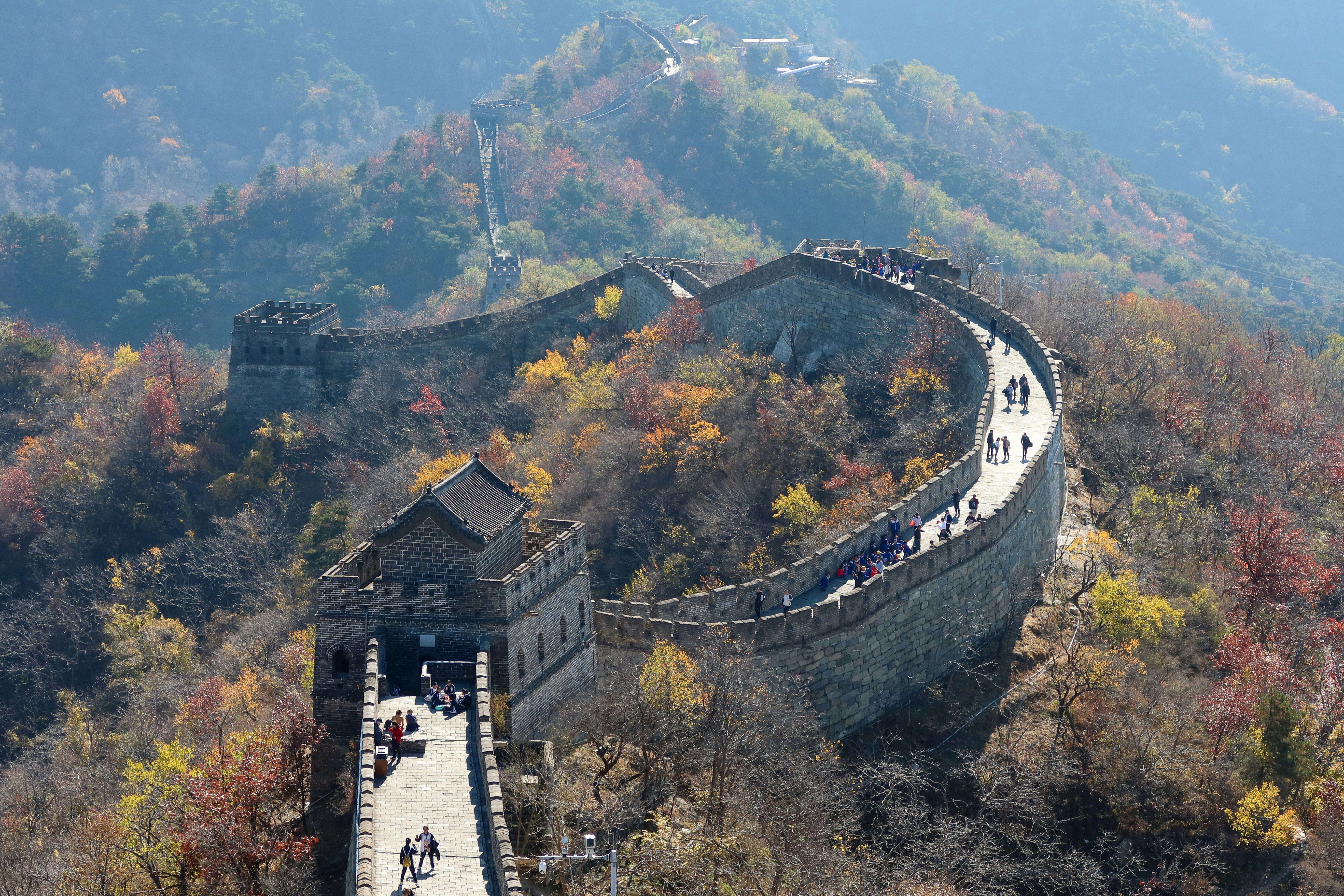 Photo by katherinejang