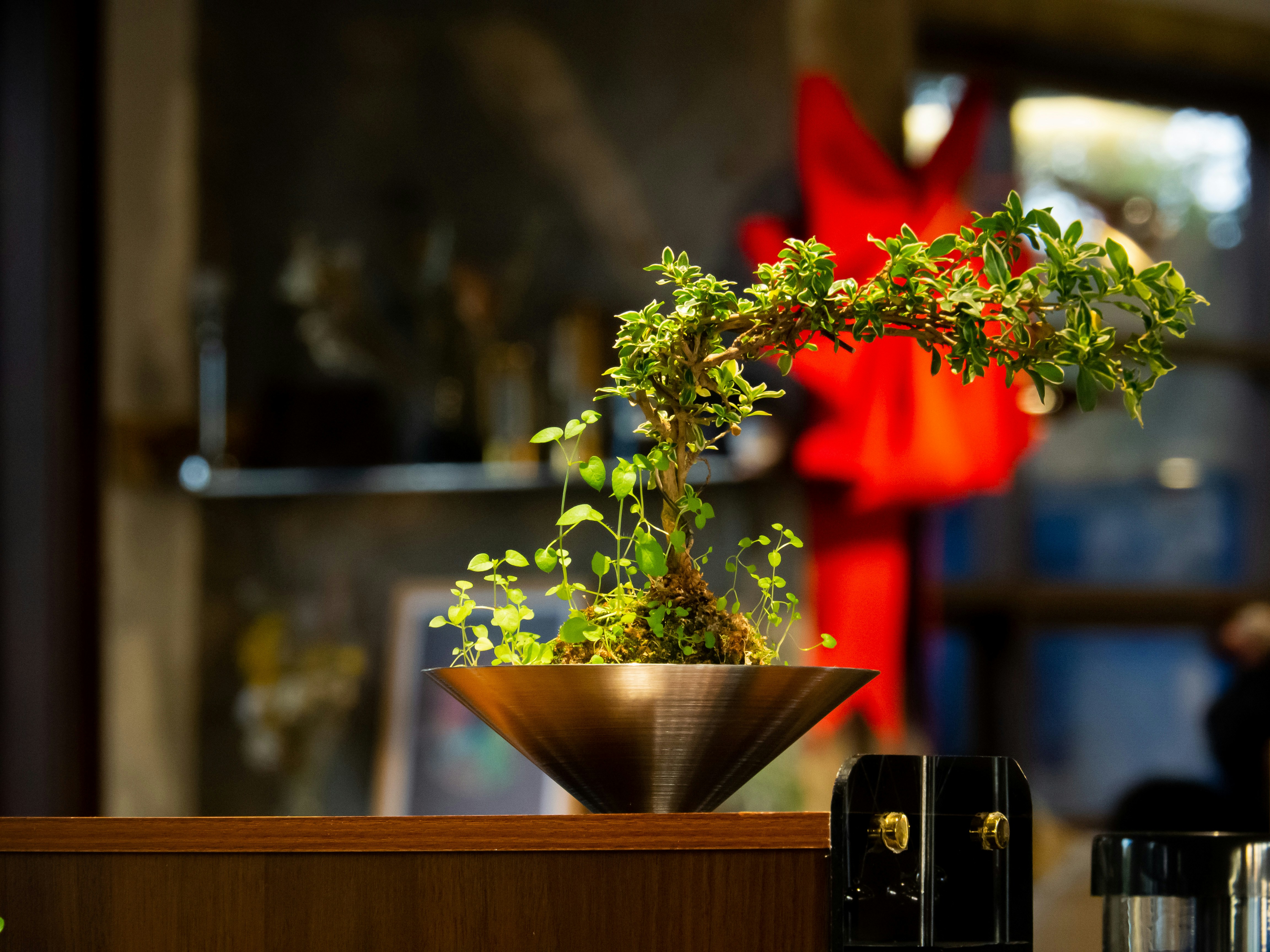 Photo by siriusharrison