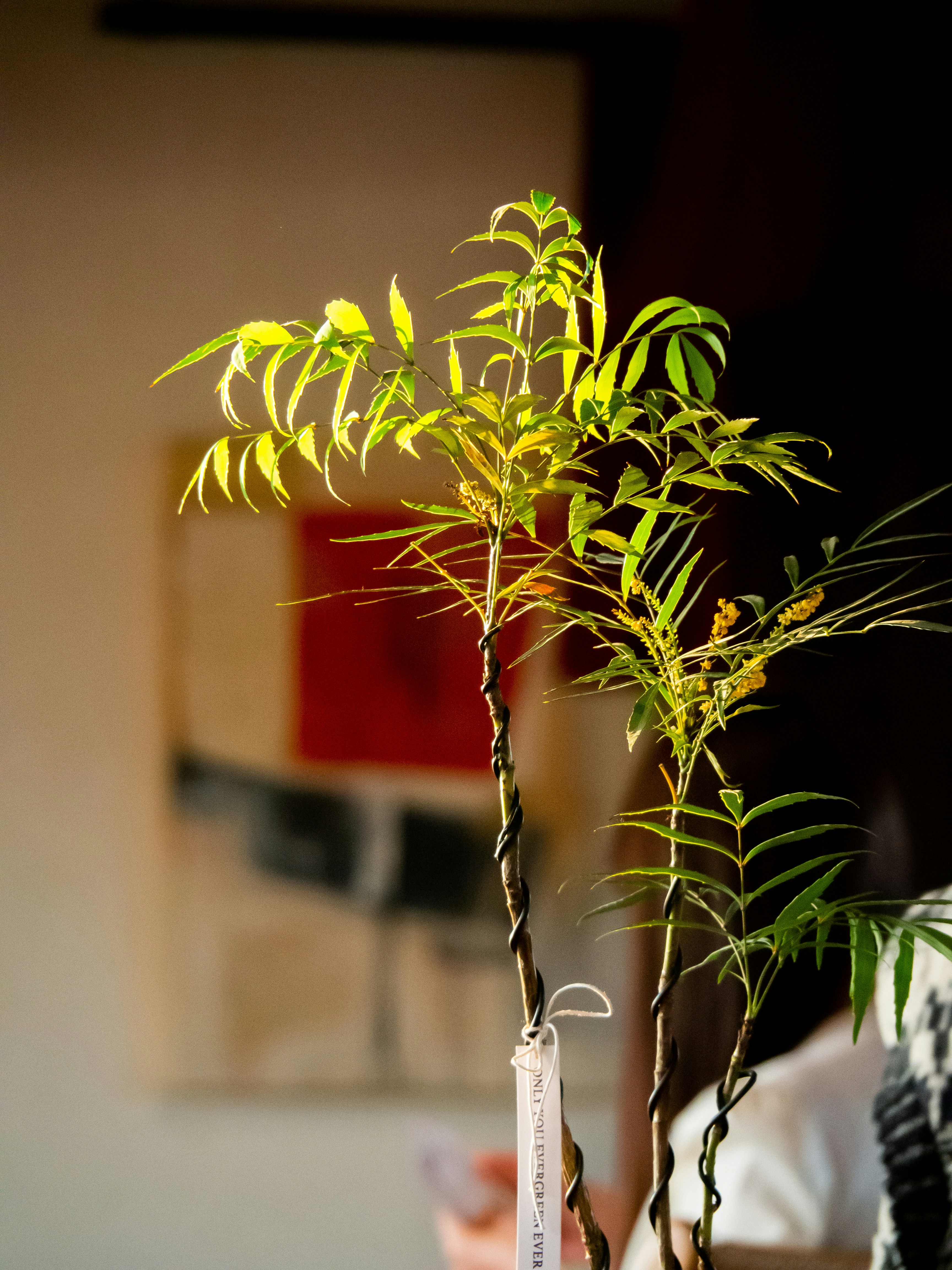 Photo by siriusharrison