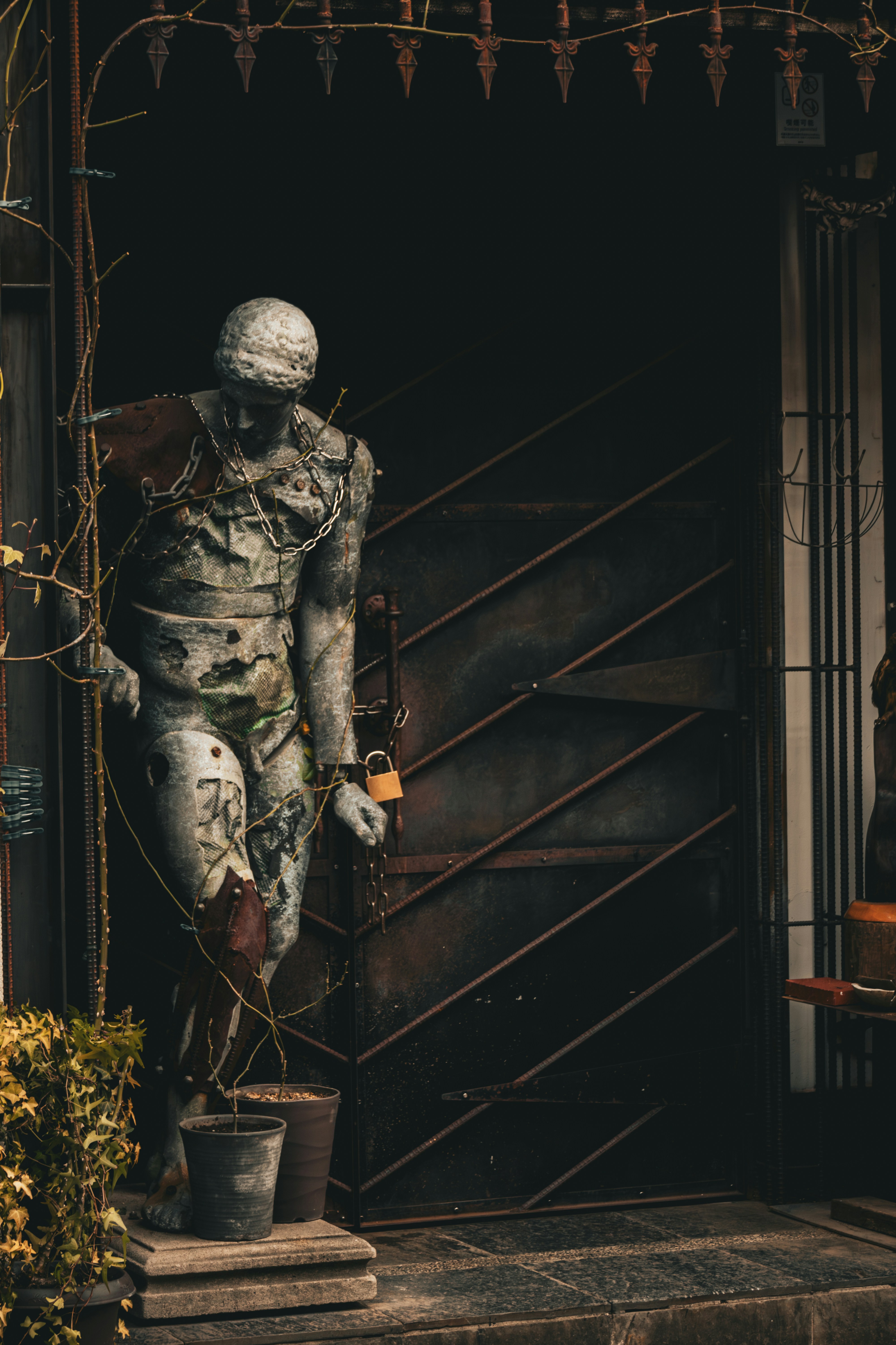 Photo by horseratbros