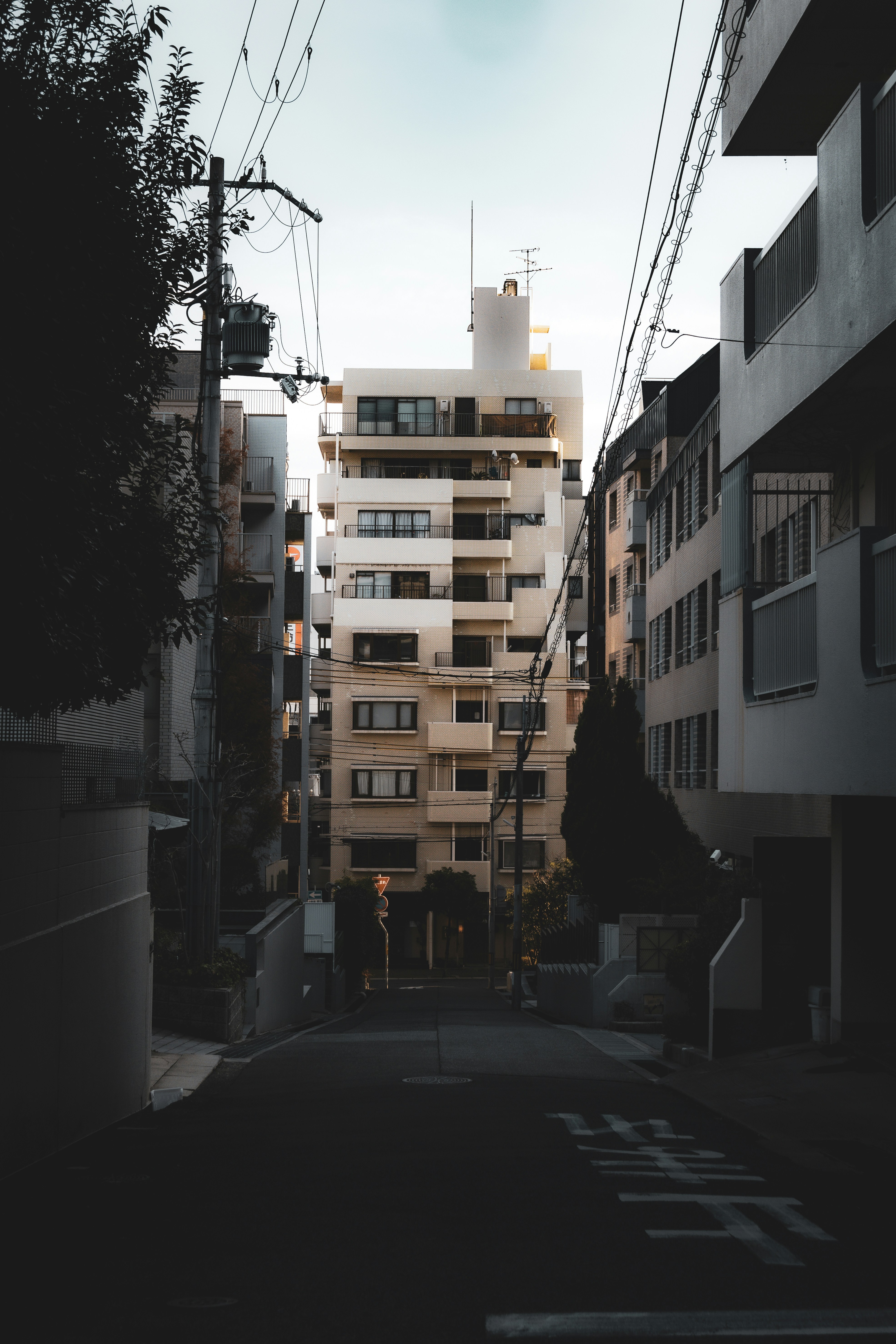 Photo by horseratbros