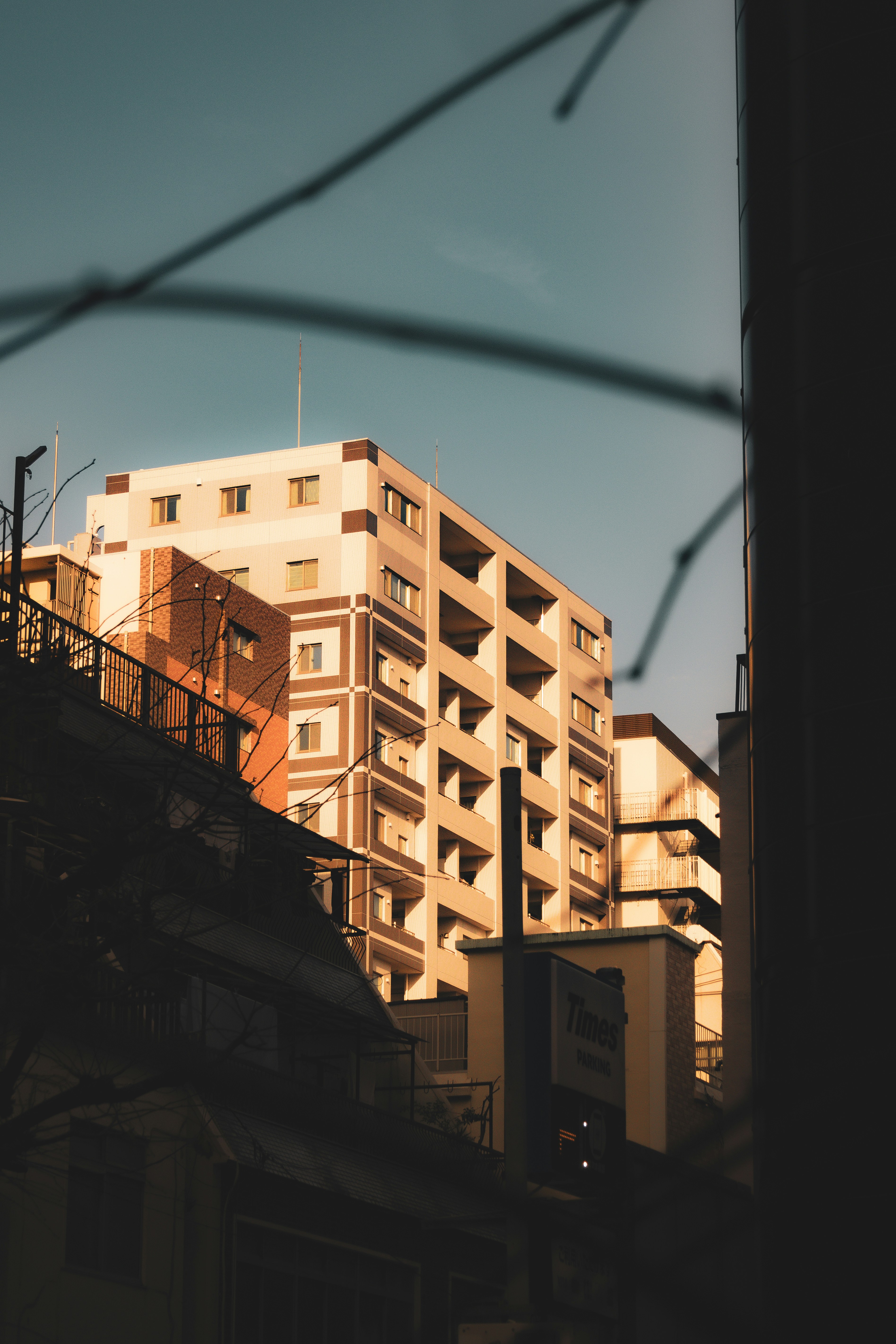 Photo by horseratbros