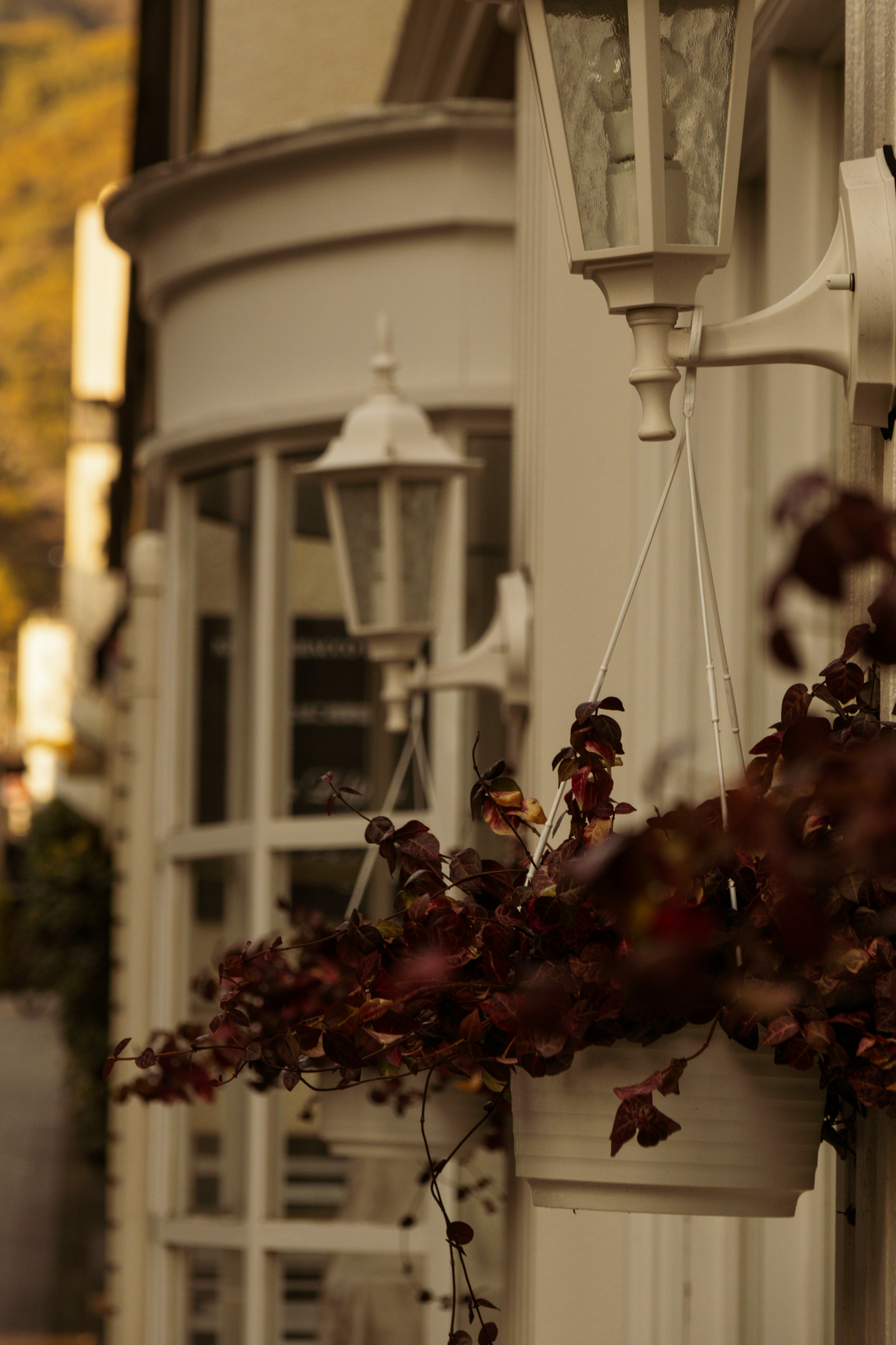 Photo by horseratbros