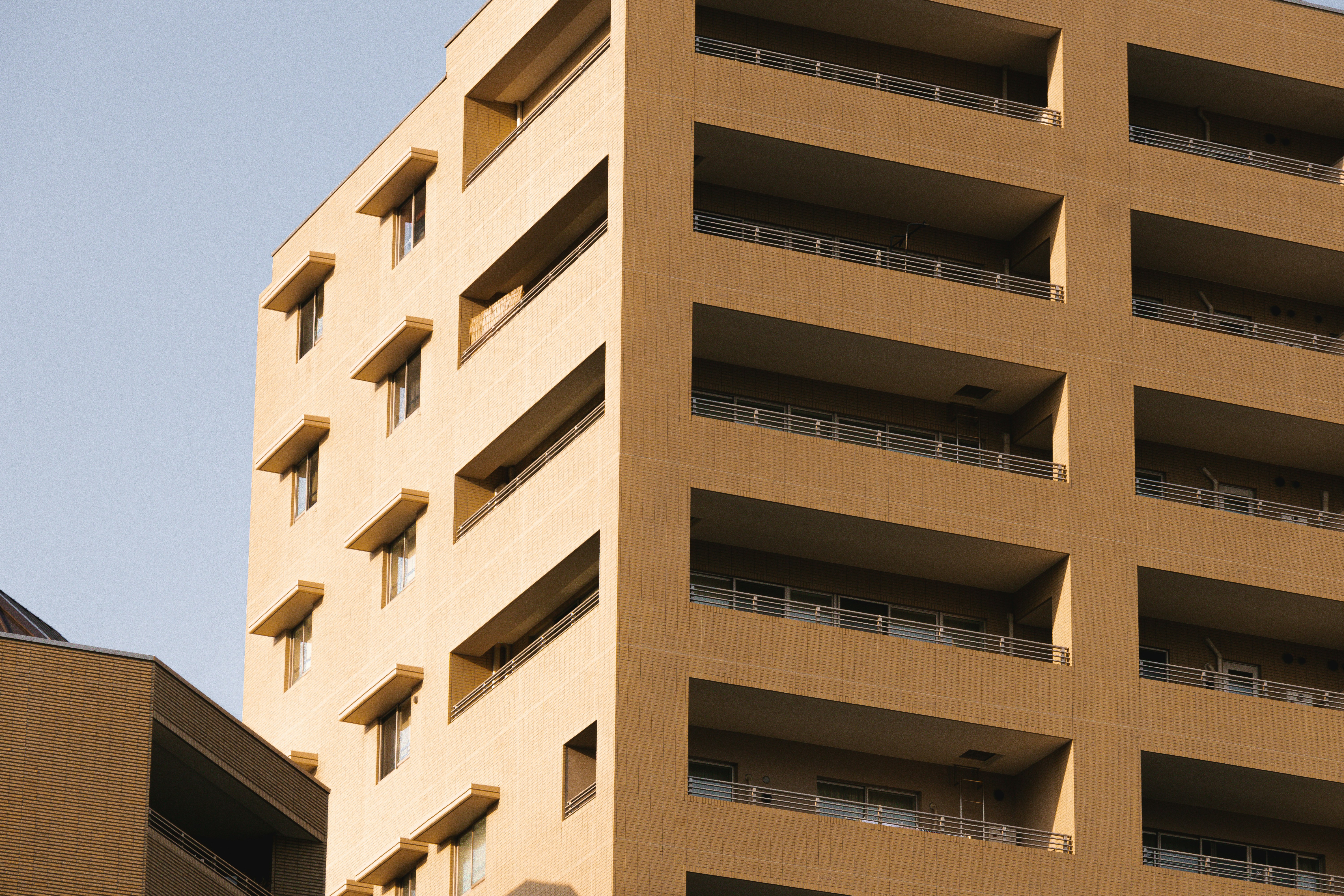 Photo by horseratbros