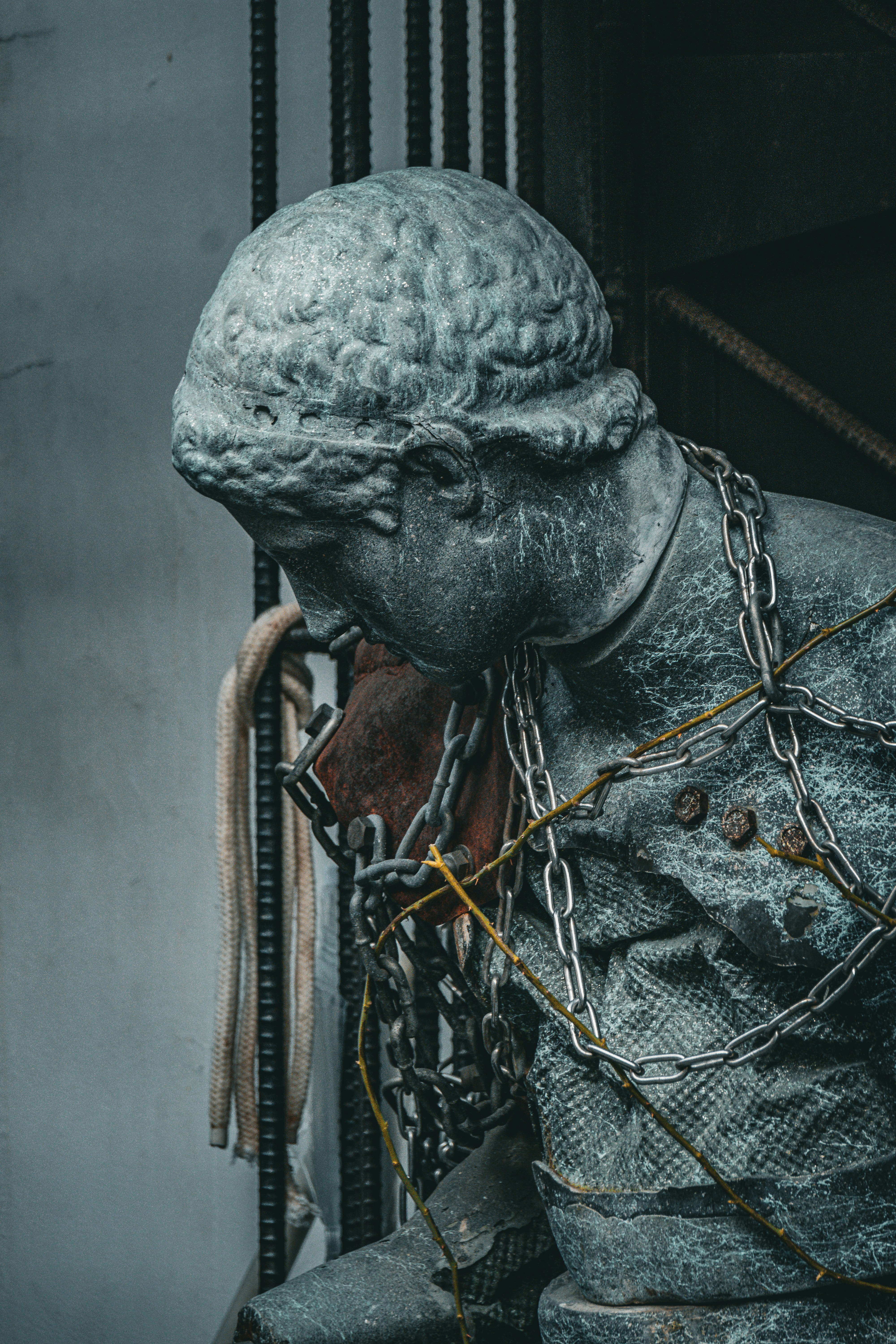 Photo by horseratbros