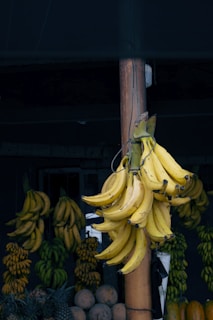A bunch of bananas hanging from a pole