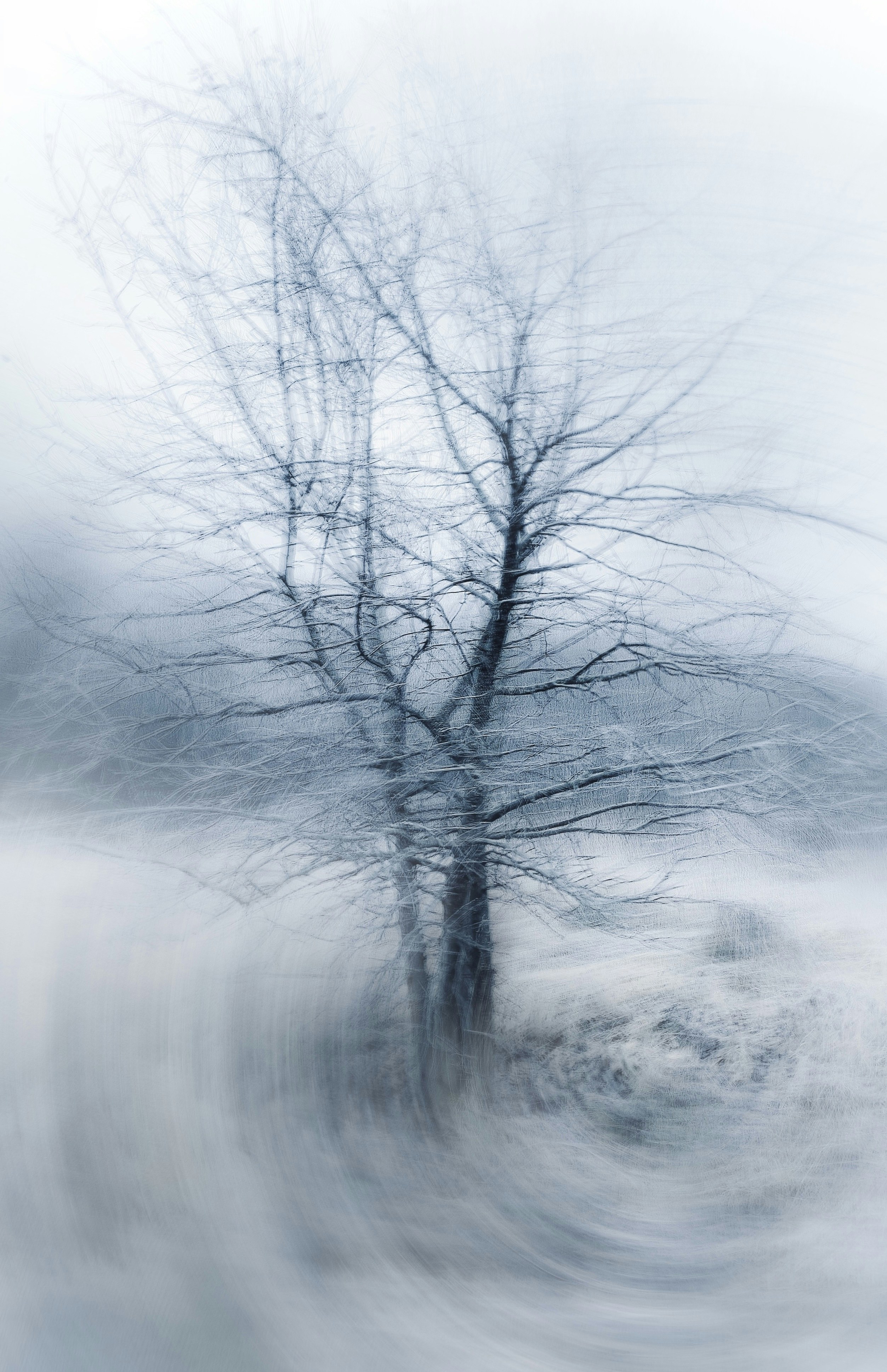 Photo by eugene_golovesov