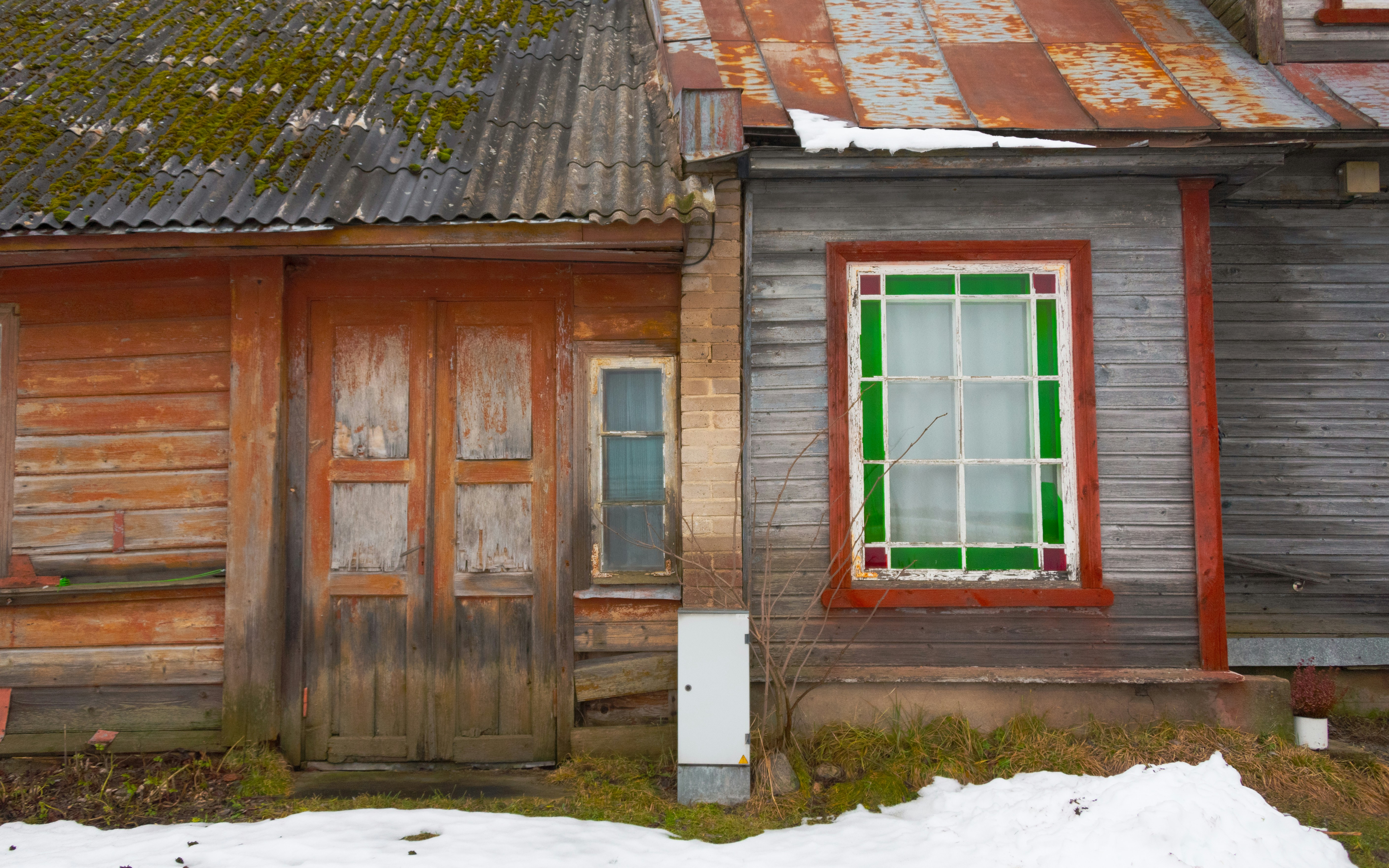 Photo by translytranslations